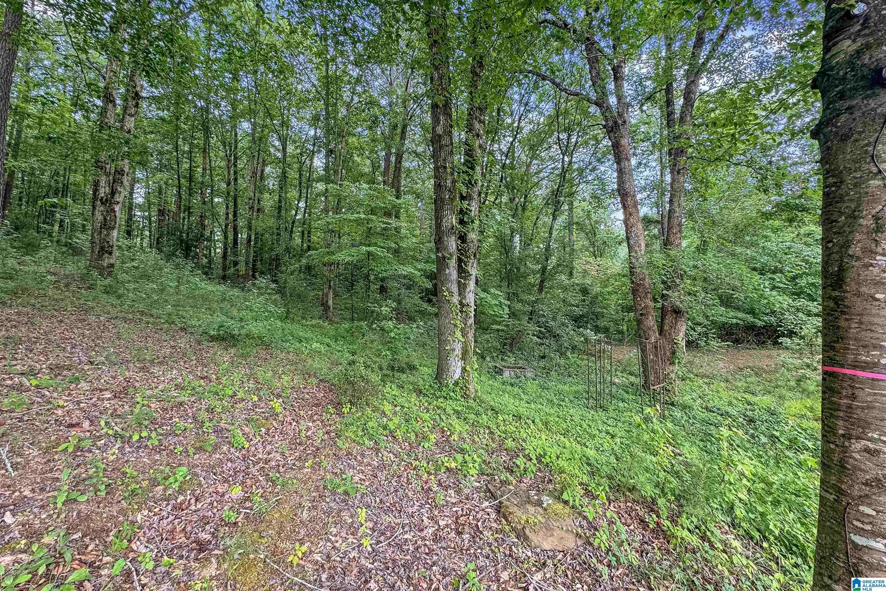 Helena, AL 35080,0 RED OAK CIRCLE #0