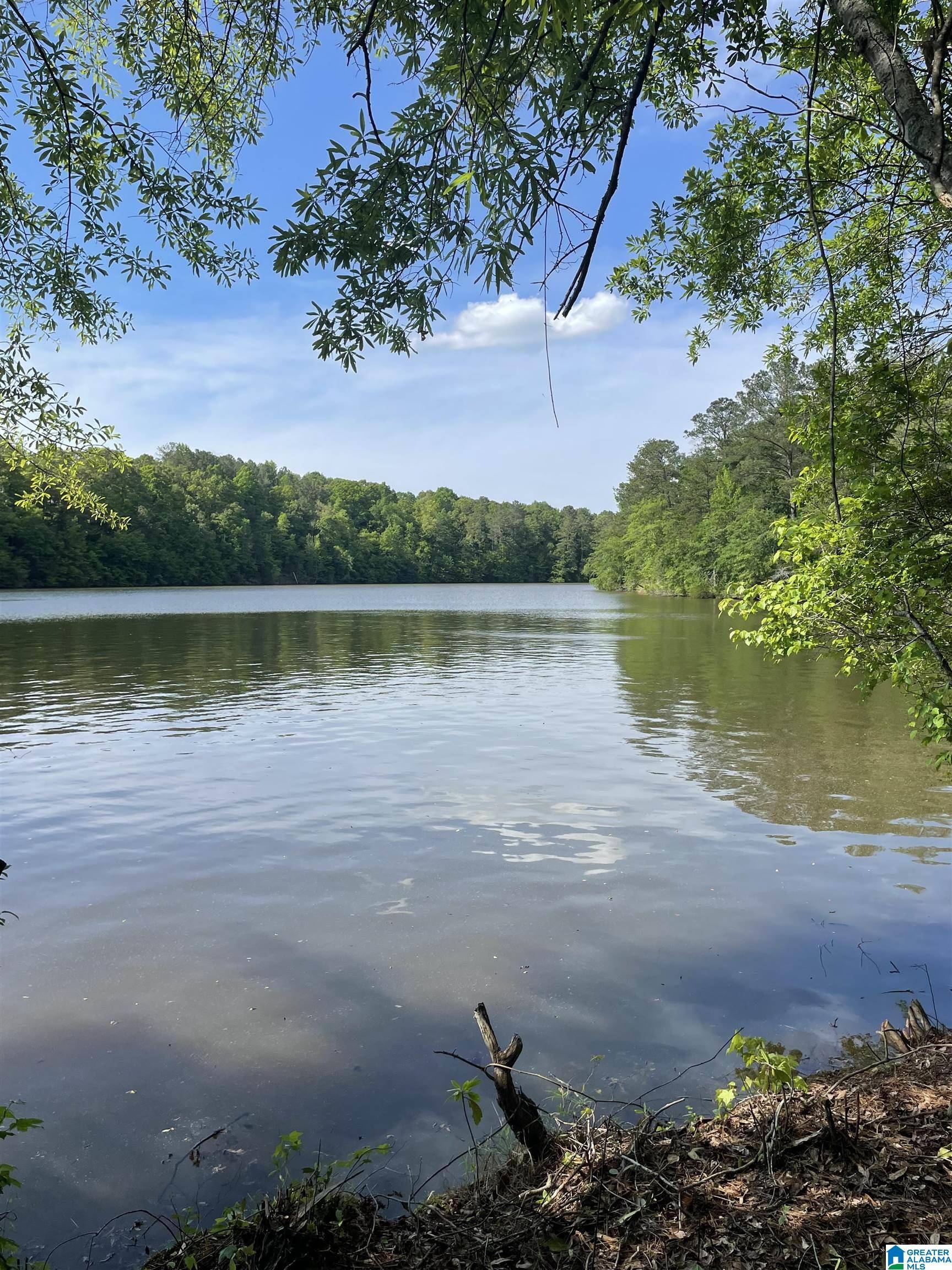 Wedowee, AL 36278,Lot 4 OLD HIGHWAY 431 #1