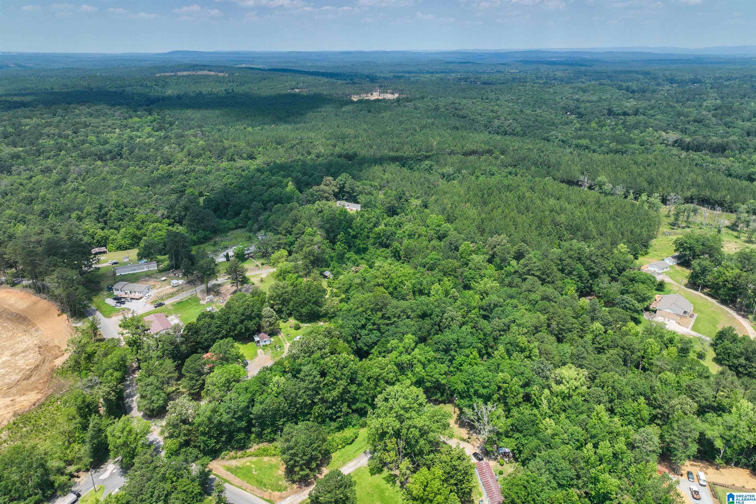 Columbiana, AL 35051,106 REED DRIVE #106