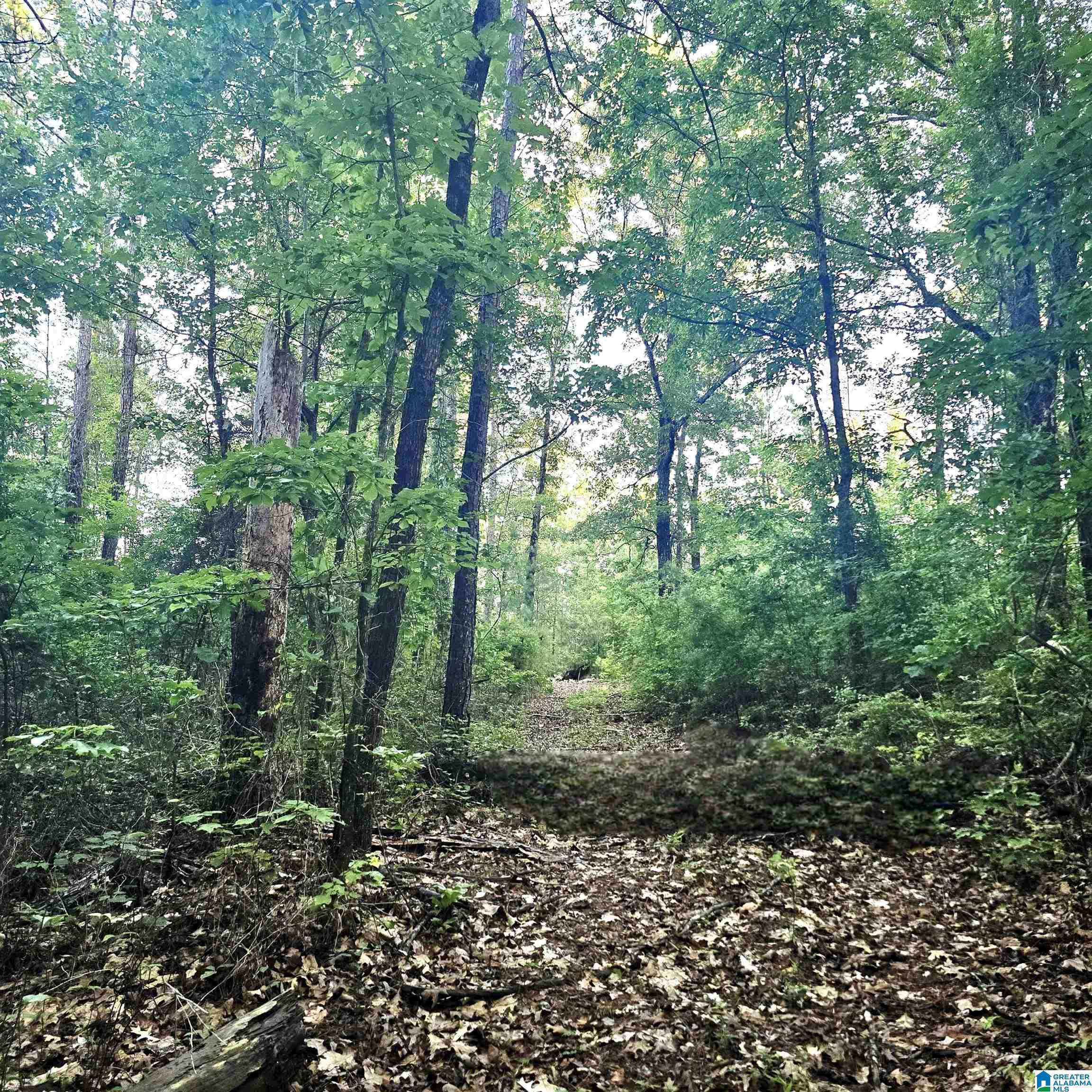 Maplesville, AL 36750
