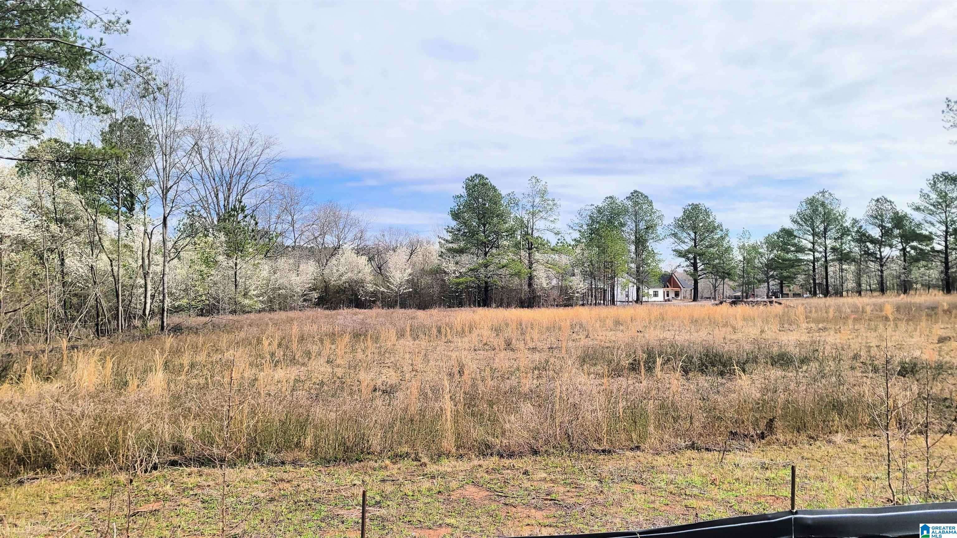 Harpersville, AL 35078,1019 CHANCELLORS FERRY LOOP #23