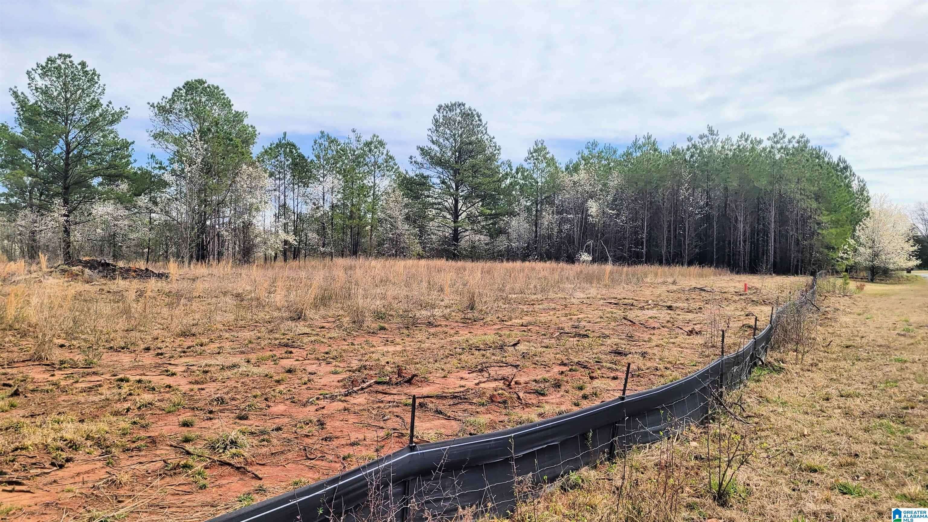 Harpersville, AL 35078,1031 CHANCELLORS FERRY LOOP #26