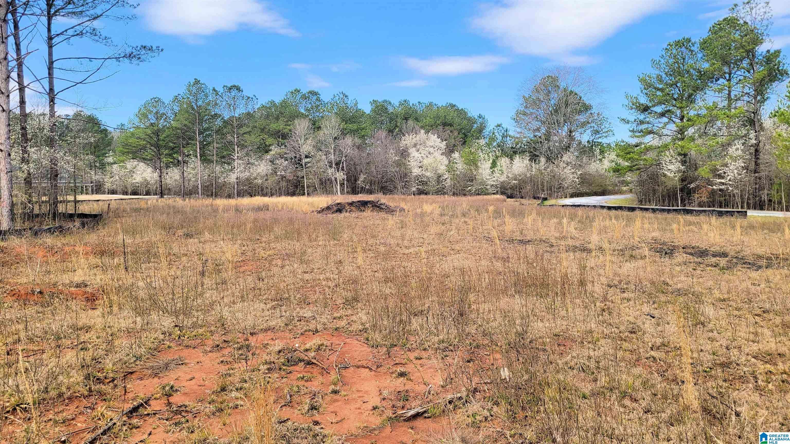 Harpersville, AL 35078,1085 CHANCELLORS FERRY LOOP #37