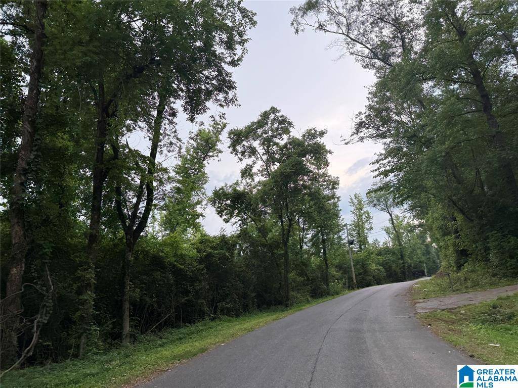 Vincent, AL 35178,0 COUNTY ROAD 479 #0
