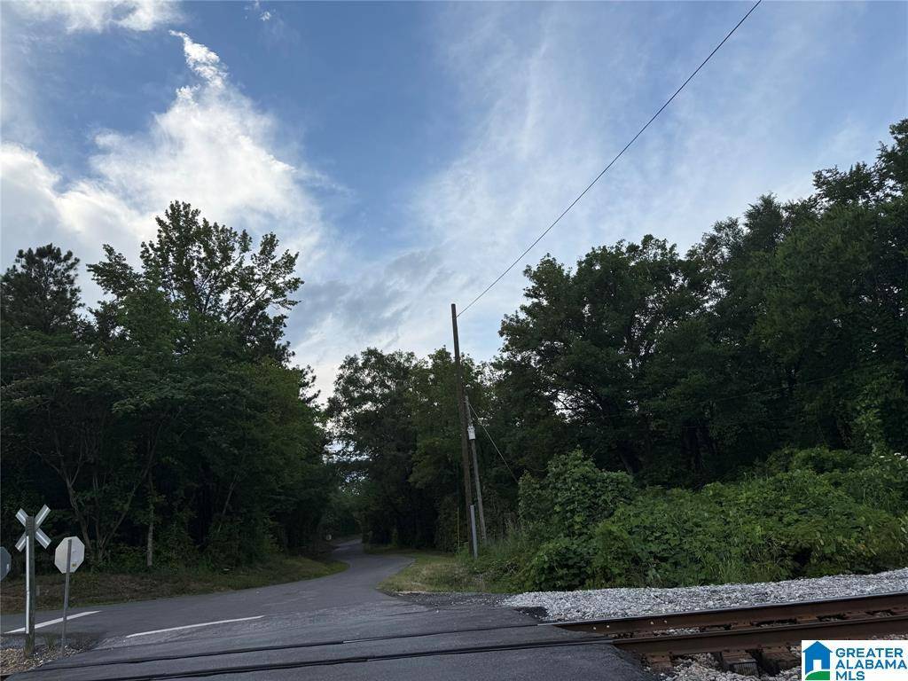 Vincent, AL 35178,0 COUNTY ROAD 479 #0
