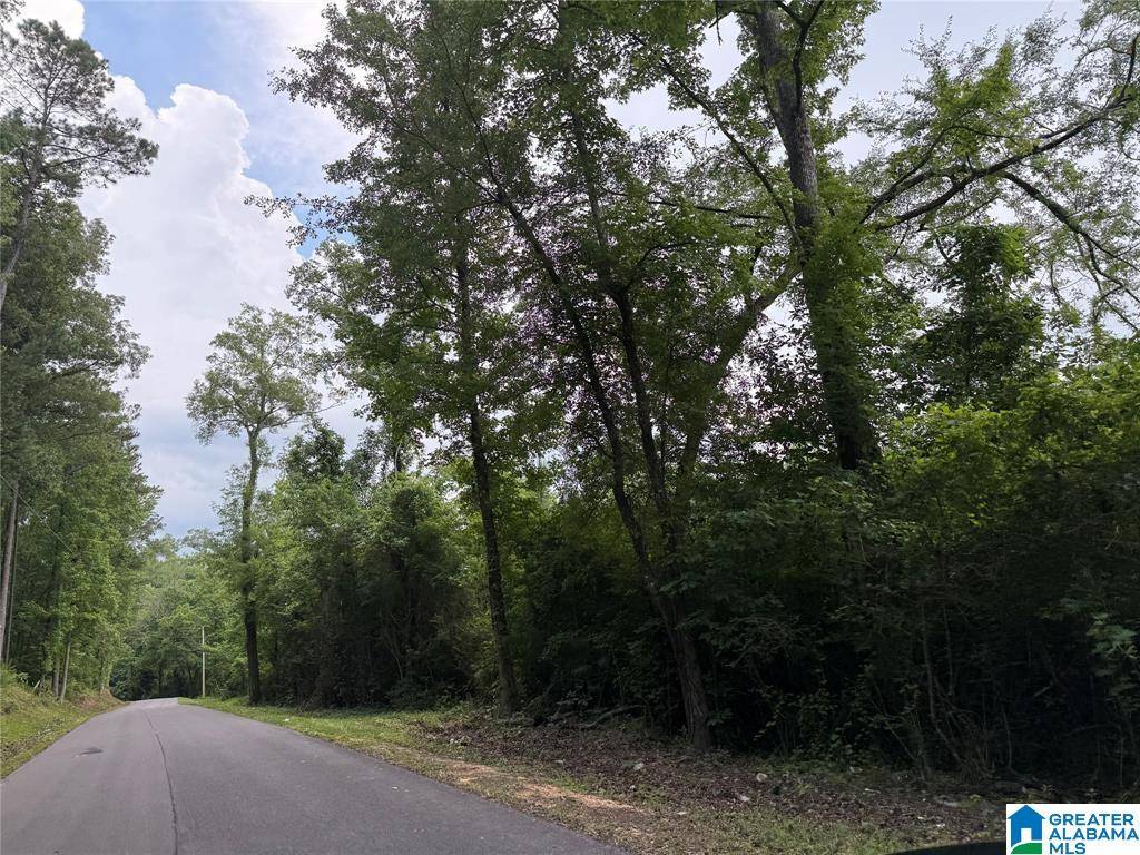 Vincent, AL 35178,0 COUNTY ROAD 479 #0