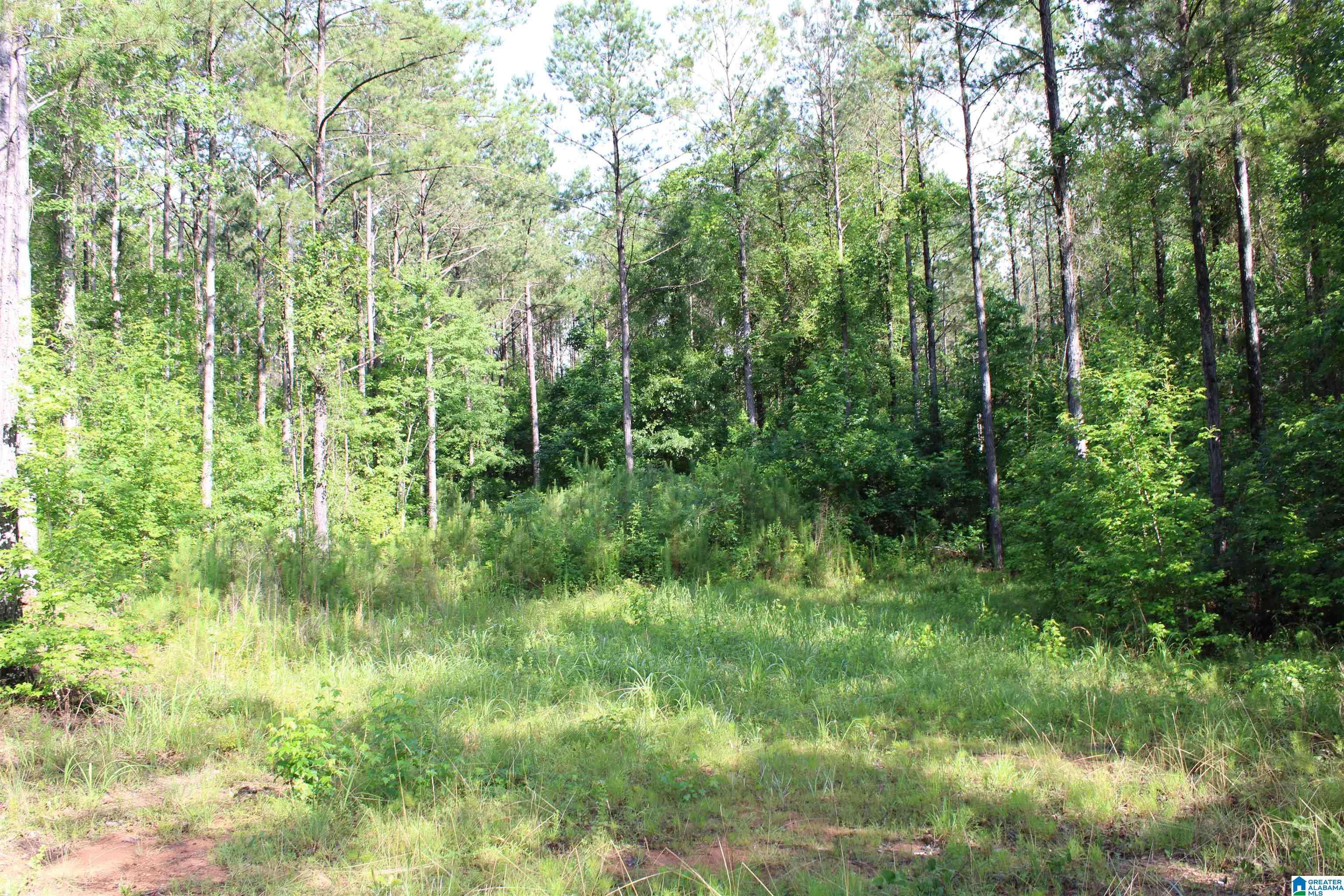 Rockford, AL 35136,0 PROVIDENCE CHURCH ROAD #lot