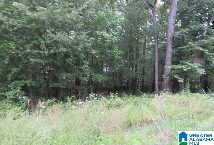 Mccalla, AL 35111,DELMAR DRIVE #23