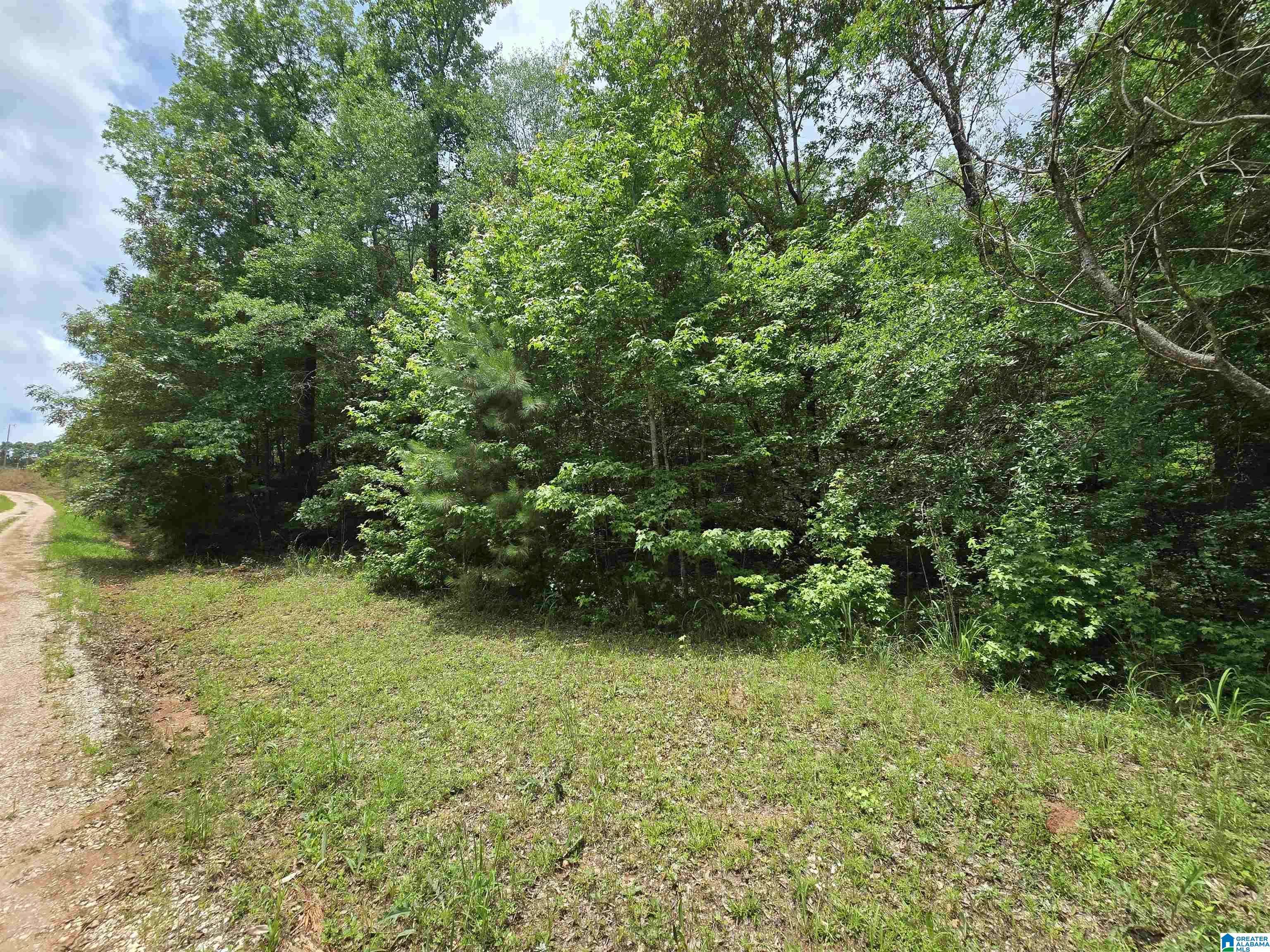 Rockford, AL 35136,0 COOSA COUNTY ROAD 118 #7