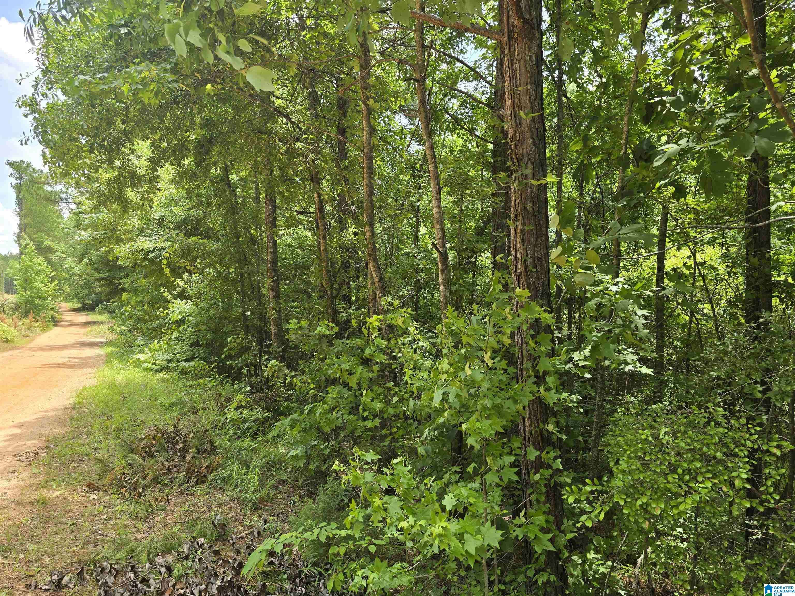 Rockford, AL 35136,0 COOSA COUNTY ROAD 118 #7