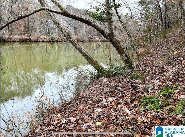 Northport, AL 35474,N HAGLER ROAD #1