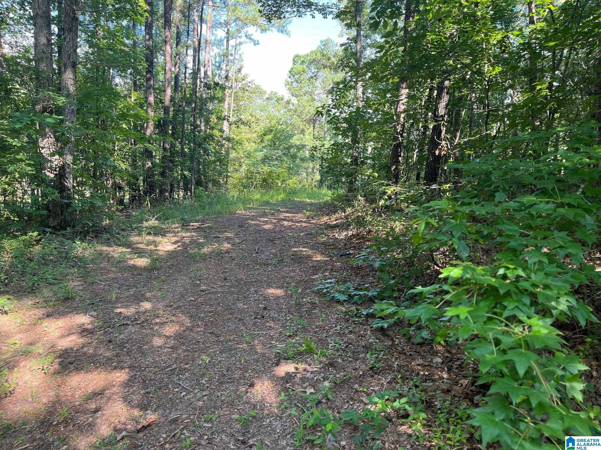 Childersburg, AL 35044,5170 MCGOWANS FERRY ROAD #0