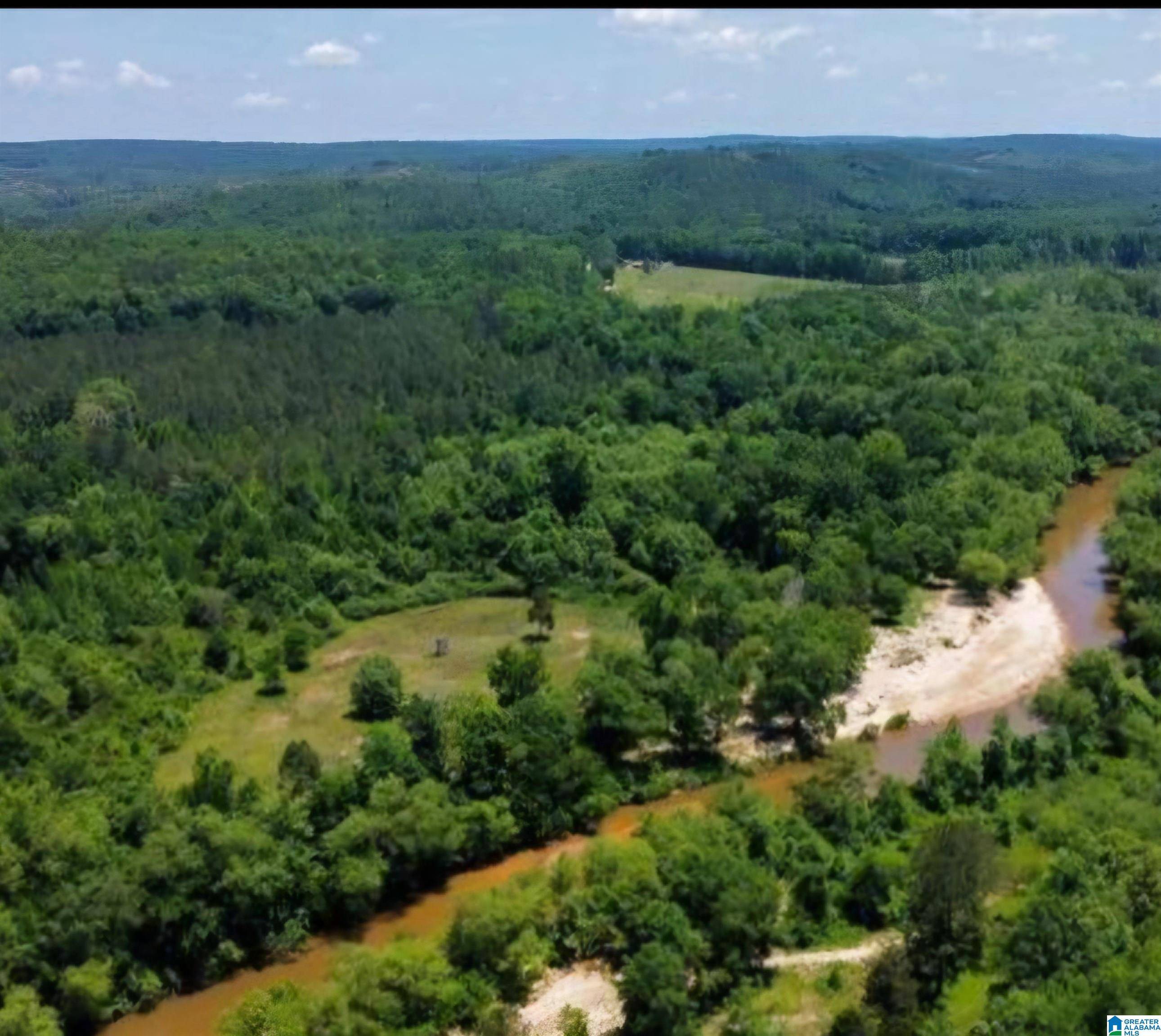 Plantersville, AL 36758,1565 COUNTY ROAD 103 #1