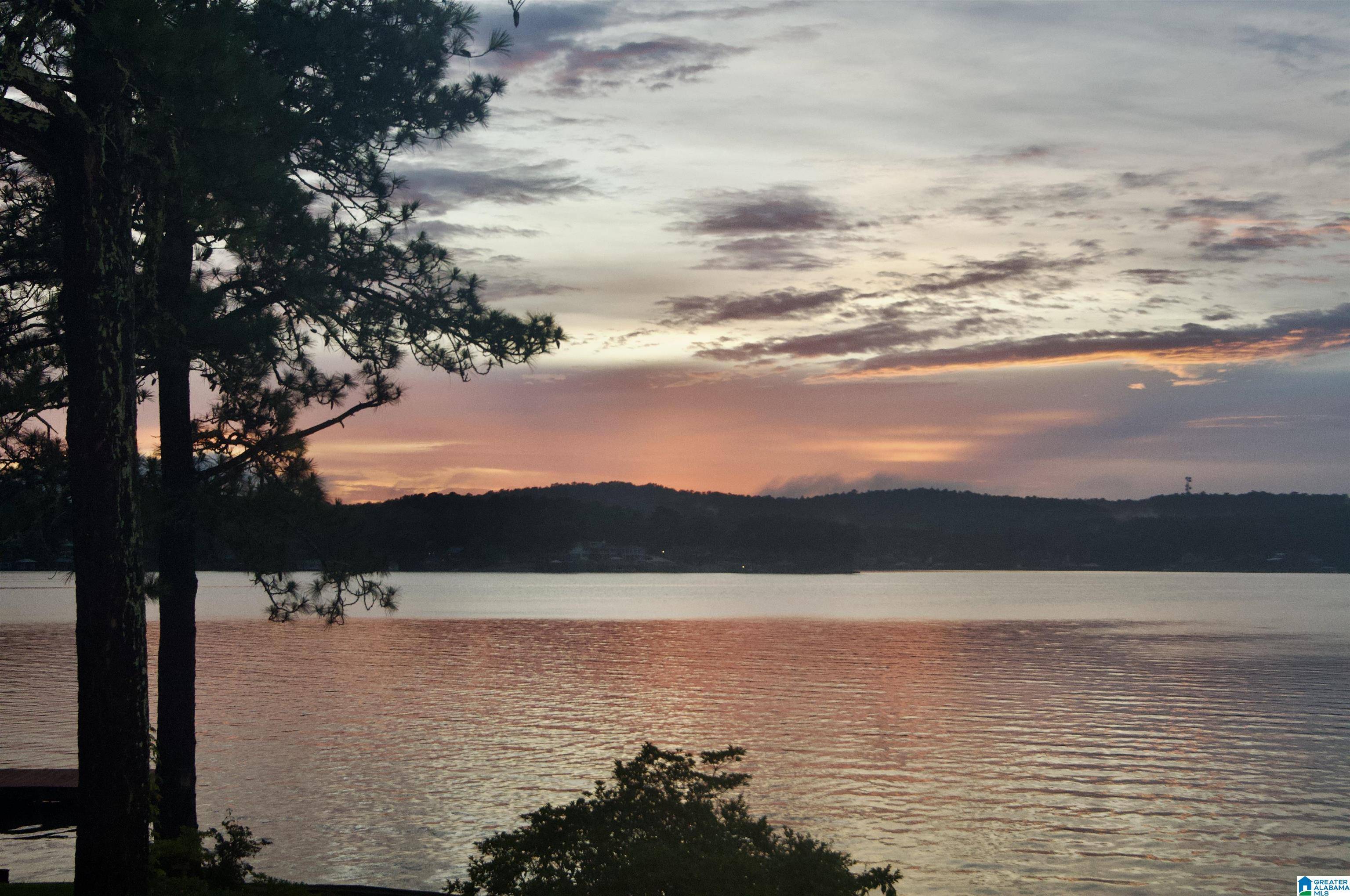 Alpine, AL 35014,1744 CONSTELLATION DRIVE