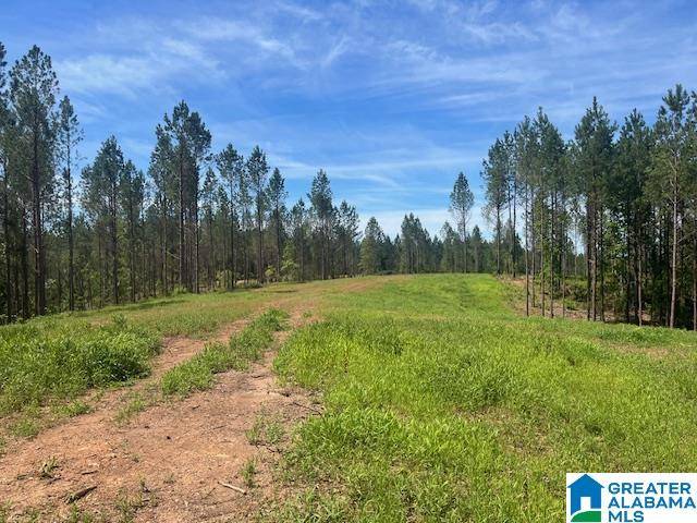 Cragford, AL 36255,1171 PATE ROAD #18 Ac