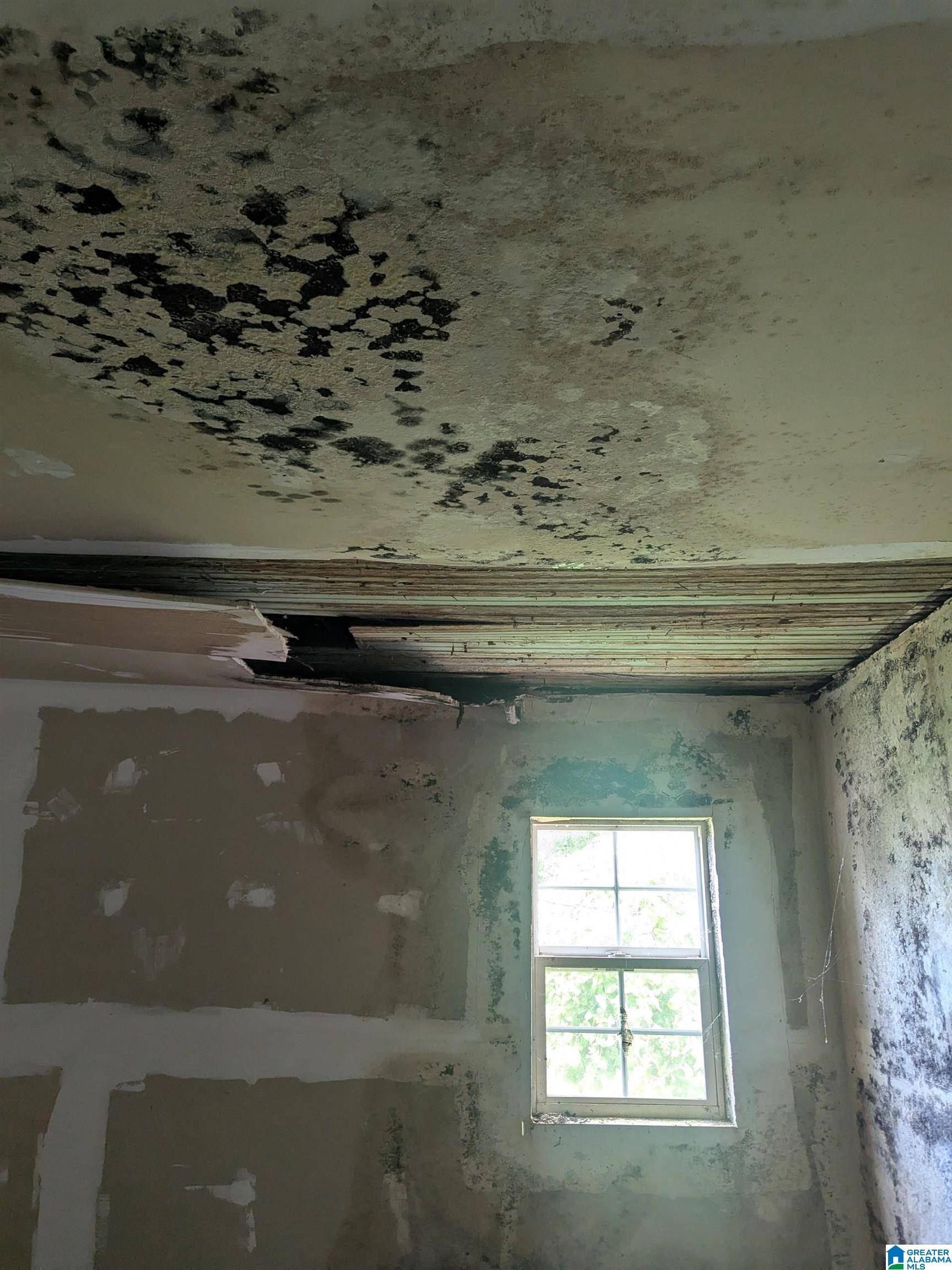 Talladega, AL 35160,114 E COFFEE STREET