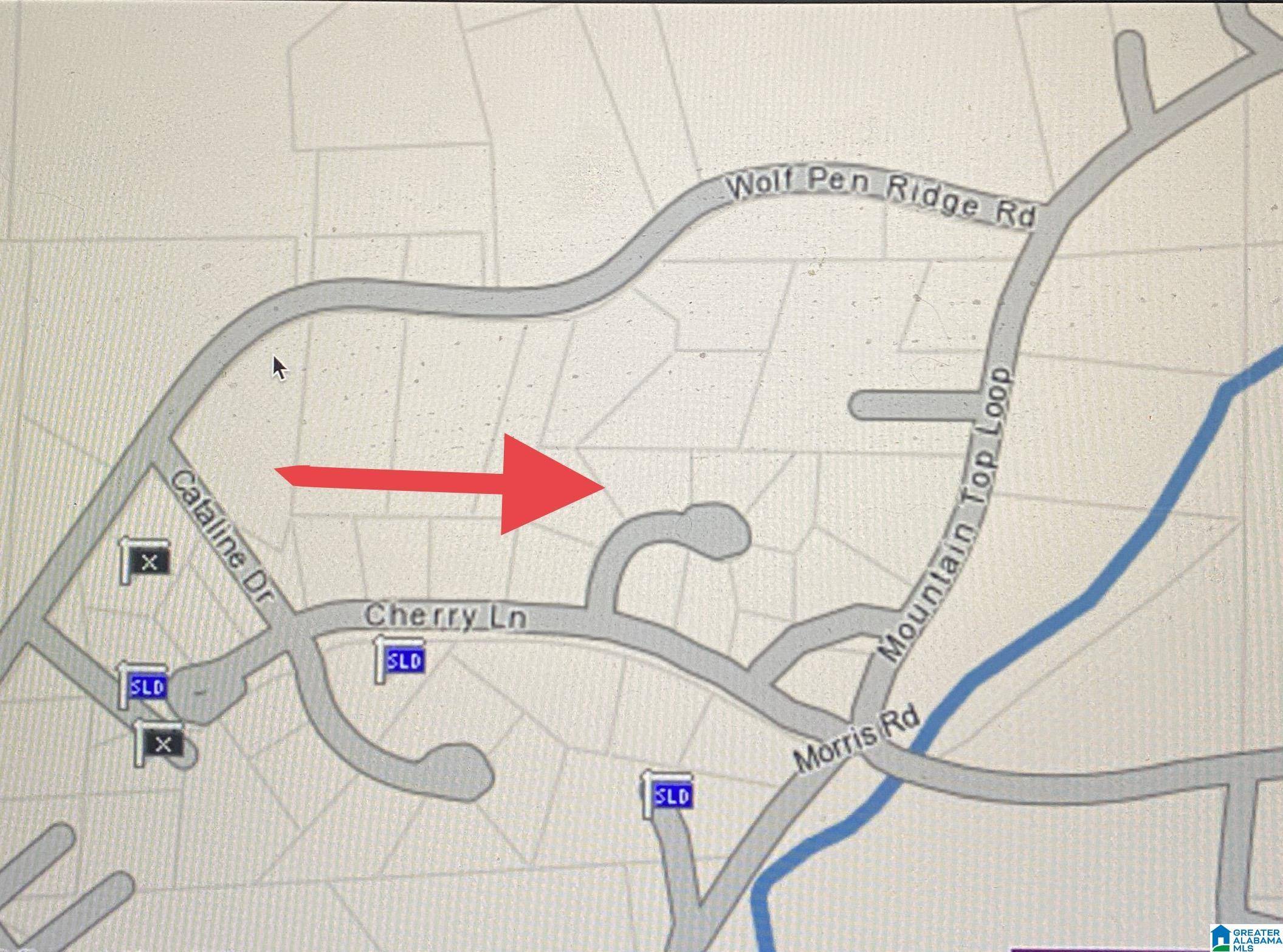 Pell City, AL 35128,225 FREEDOM WAY #24