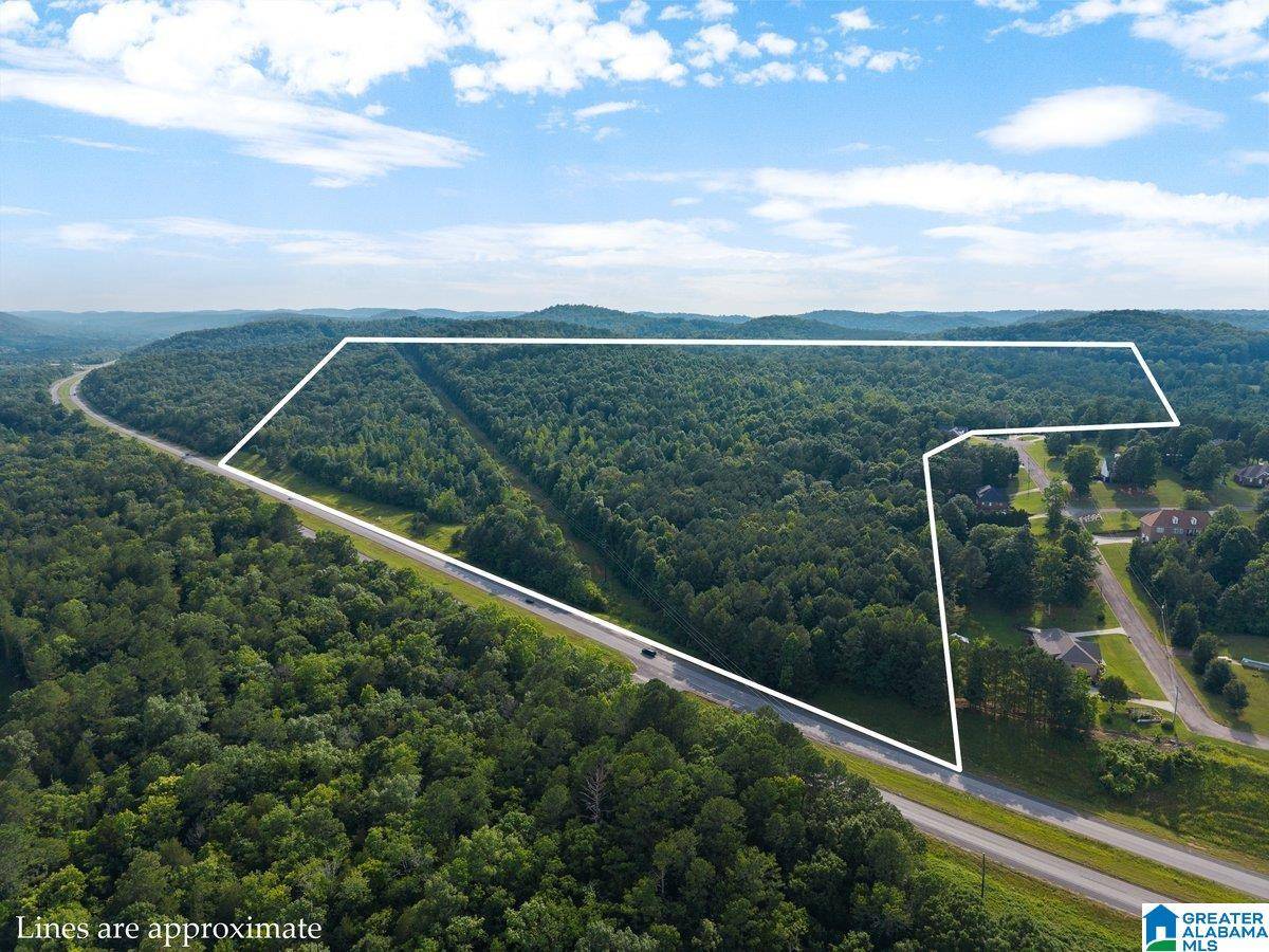 Oneonta, AL 35121,Lot #1 HIGHWAY 75 #1