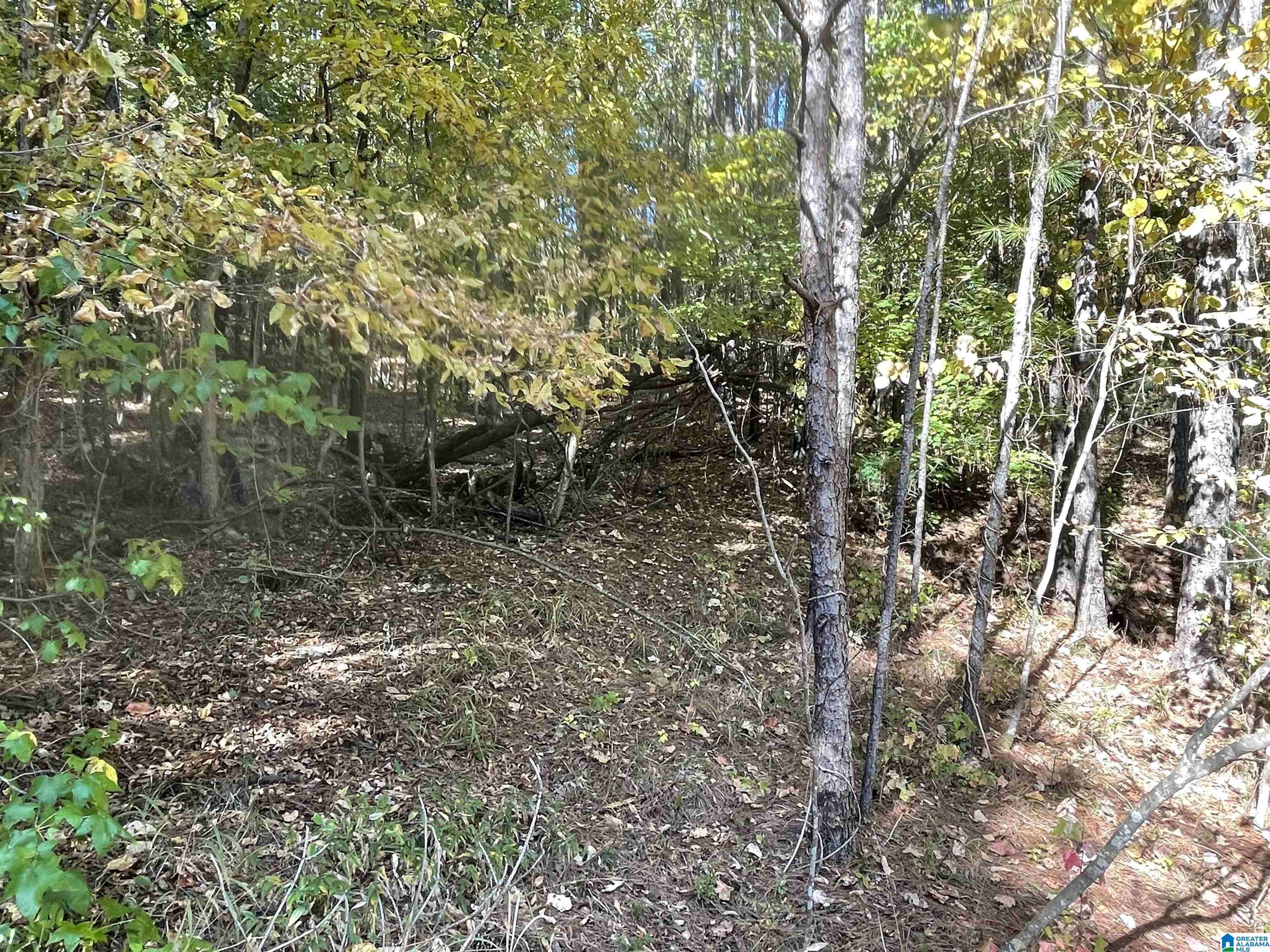 Oneonta, AL 35121,Lot #4 HIGHWAY 75 #1