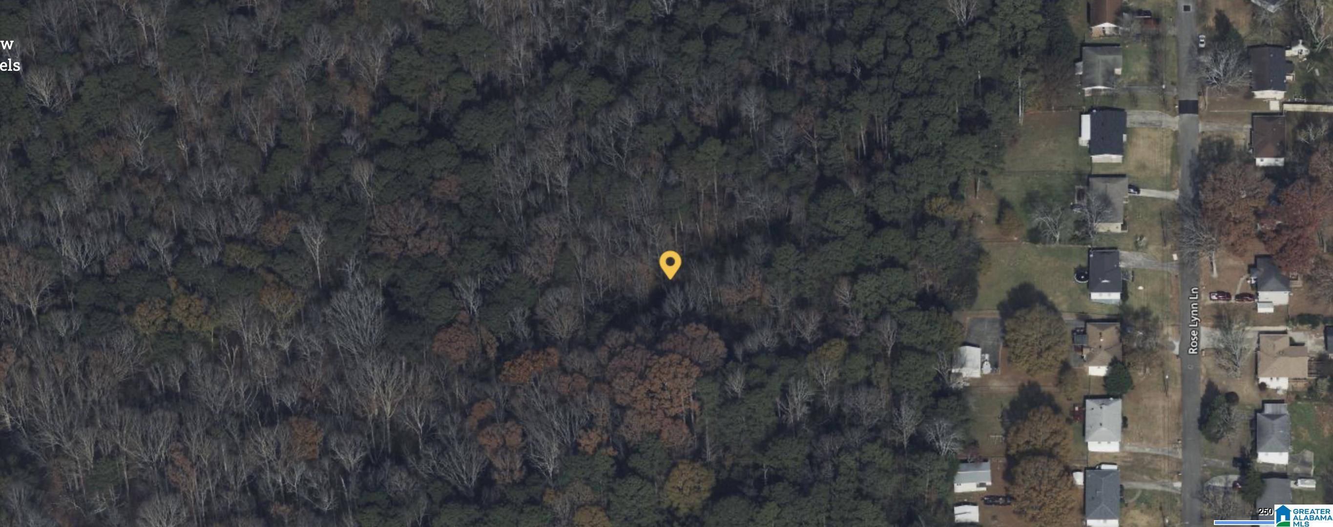 Birmingham, AL 35215,204 KILLOUGH SPRINGS ROAD #0