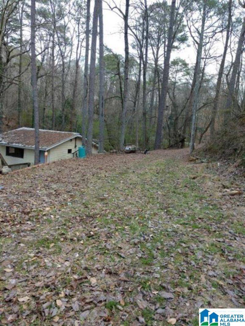 Bessemer, AL 35023,101 KITTY BRANCH LANE #1 A&B & 2