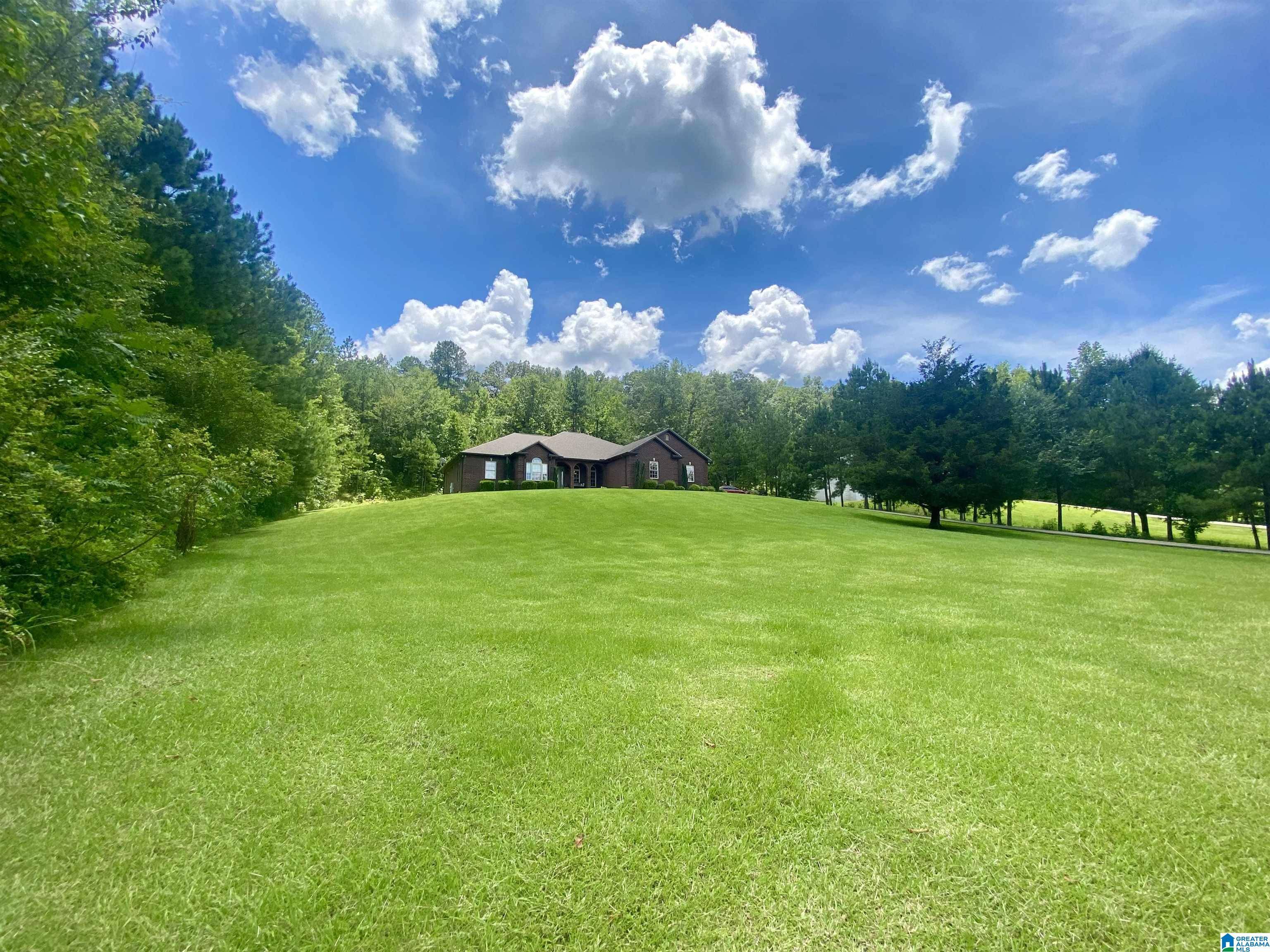 Ashville, AL 35953,1060 LOVEJOY ROAD