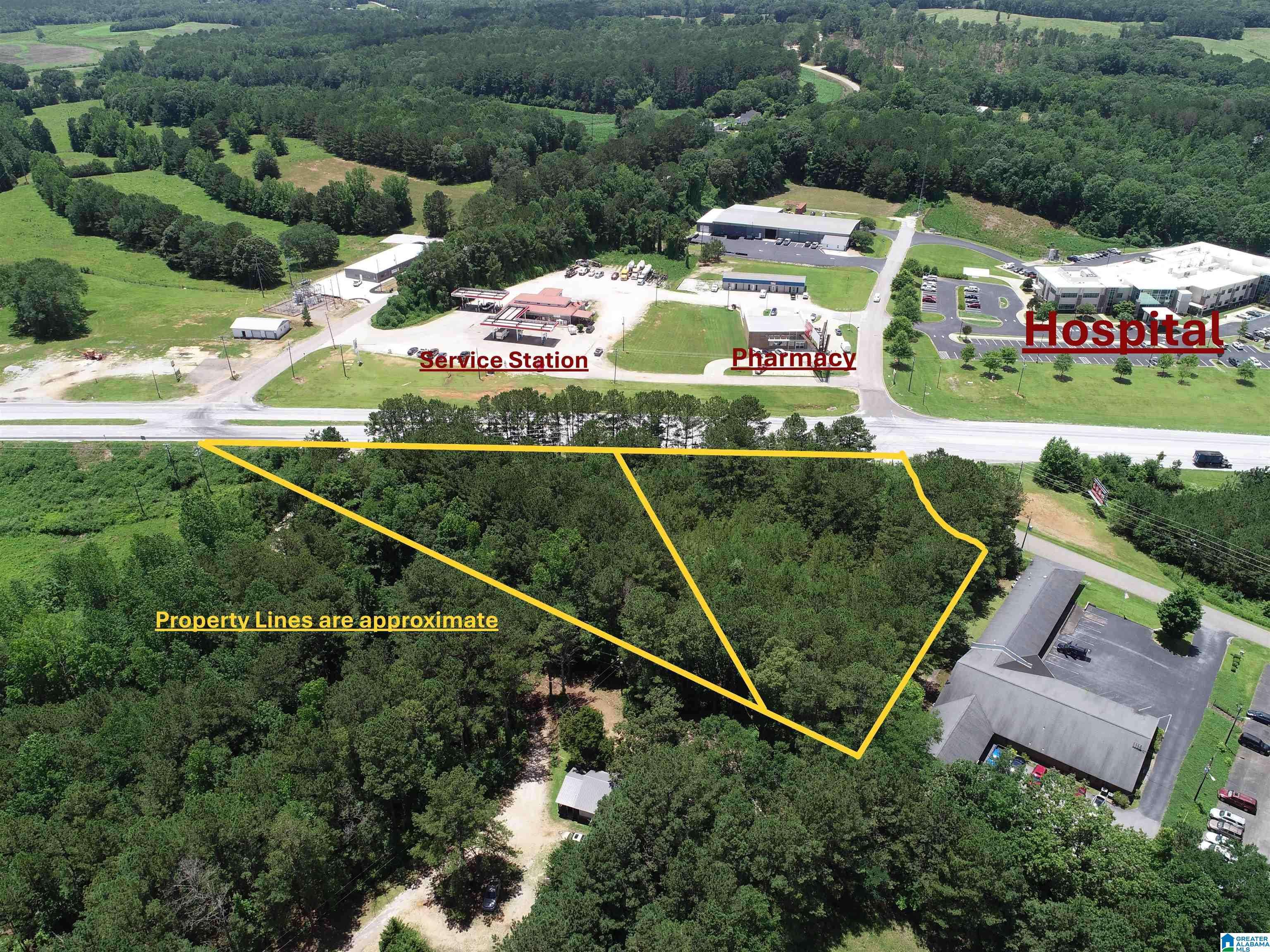 Wedowee, AL 36278,HIGHWAY 431 S
