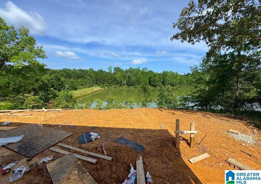 Chelsea, AL 35043,636 EMERALD TRACE