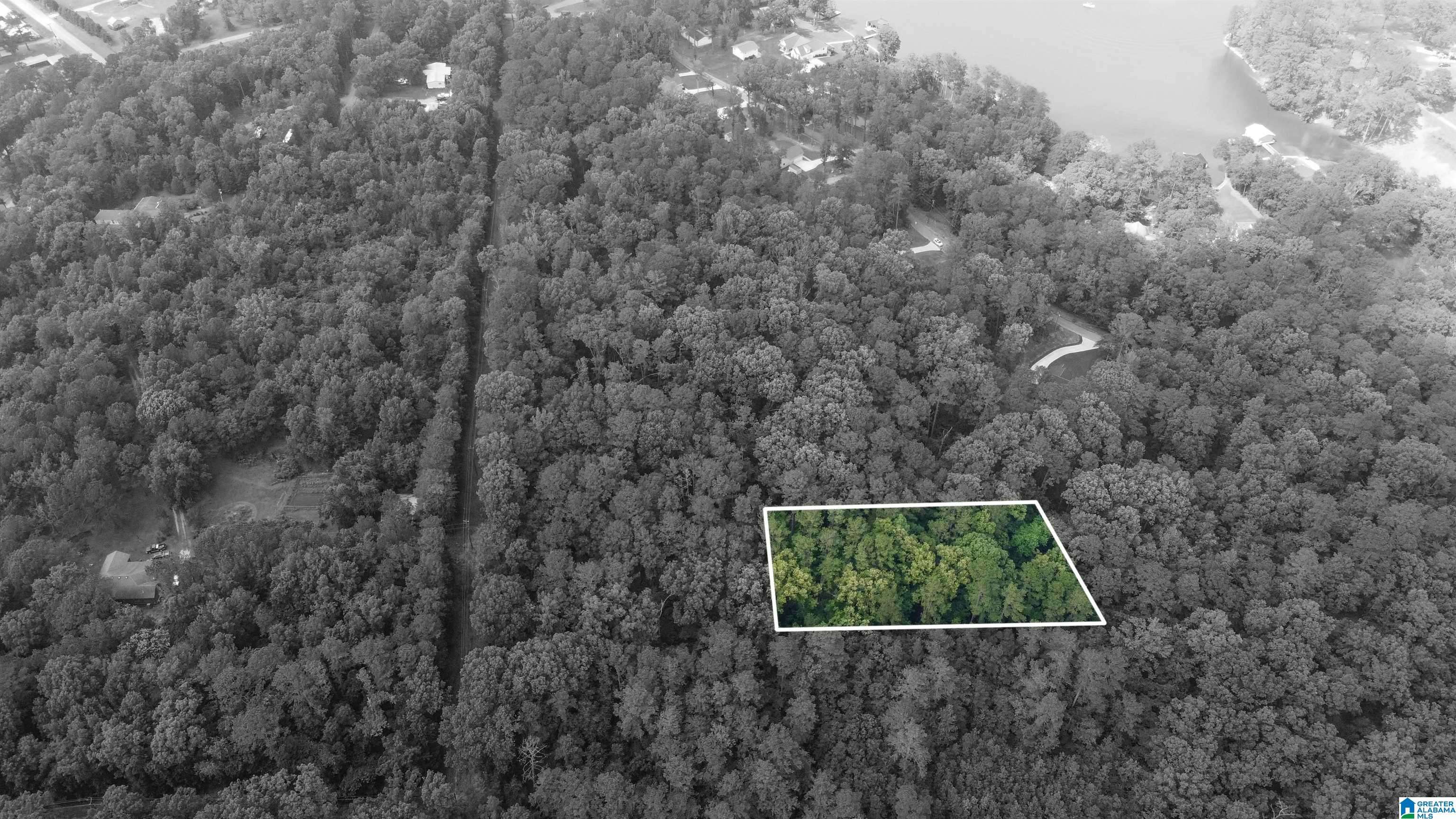 Cropwell, AL 35054,70 CHOICE CIRCLE #12-19