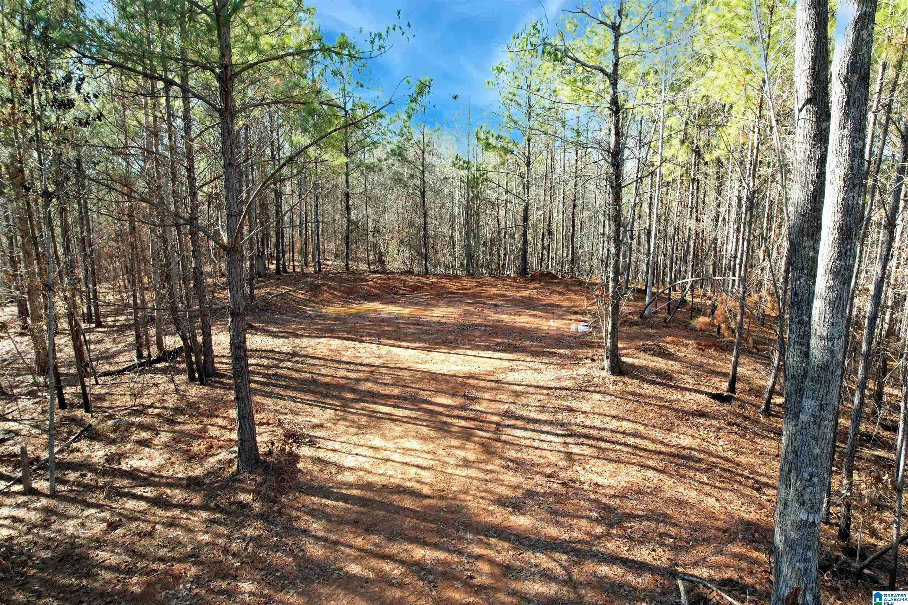 Chelsea, AL 35043,1537 COUNTY ROAD 74