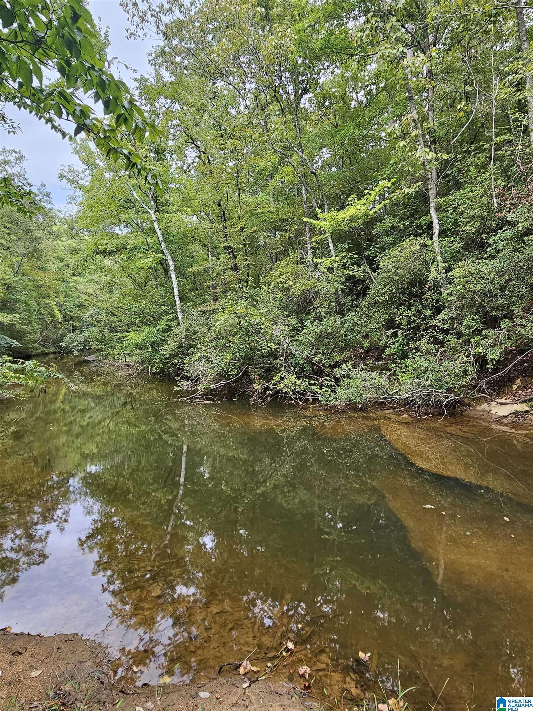 Clanton, AL 35046,525 COUNTY ROAD 260 #0