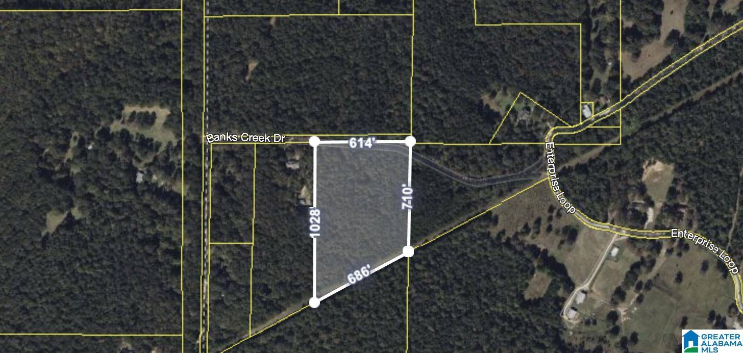 Woodstock, AL 35188,0 BANKS CREEK ROAD #1