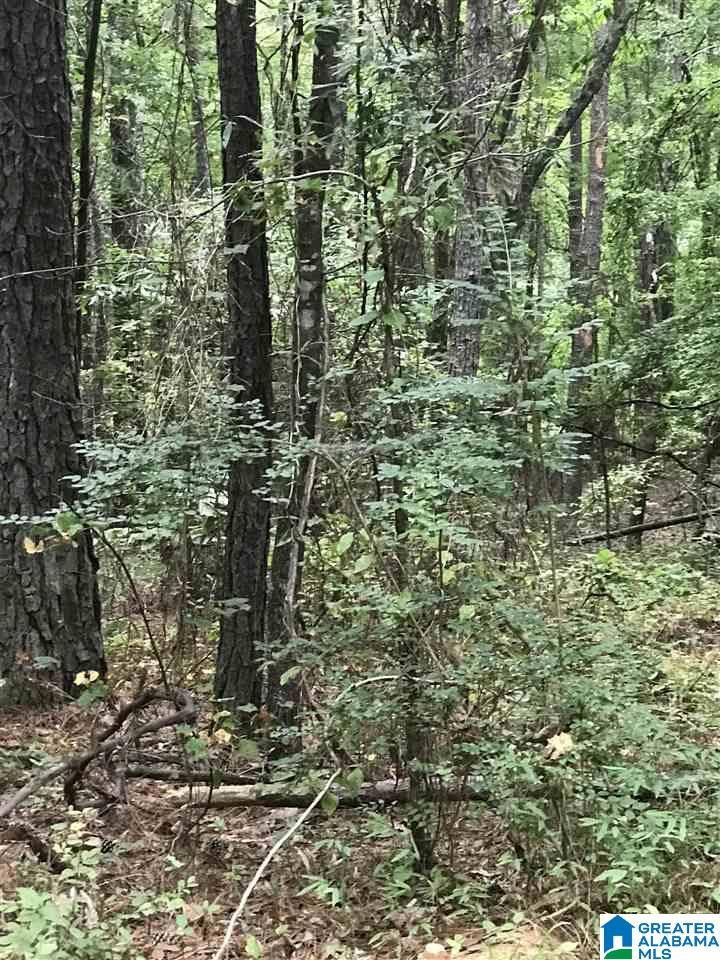 Alpine, AL 35014,S LAKESIDE LANE #20