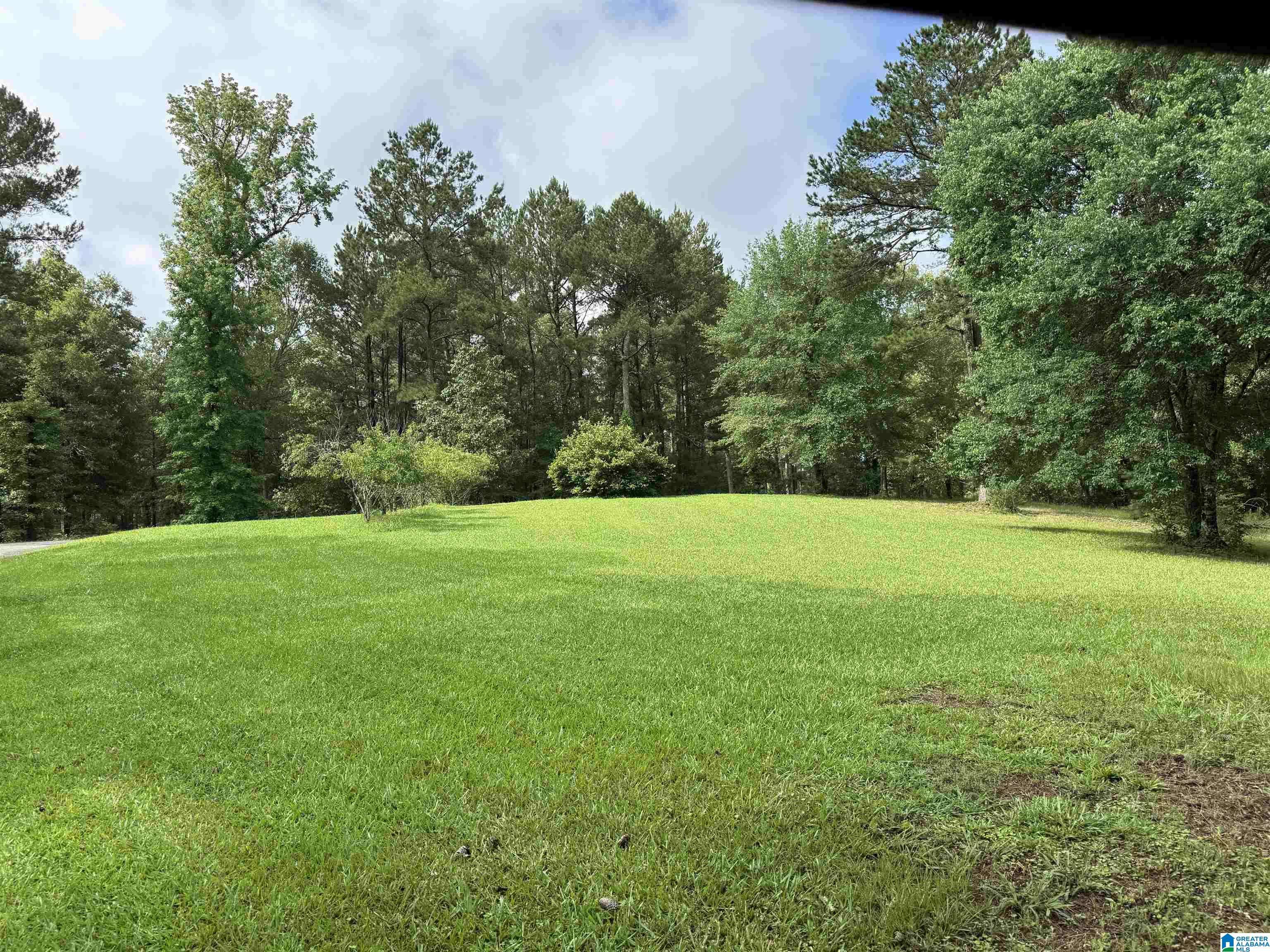 Vincent, AL 35178,3588 HIGHWAY 57