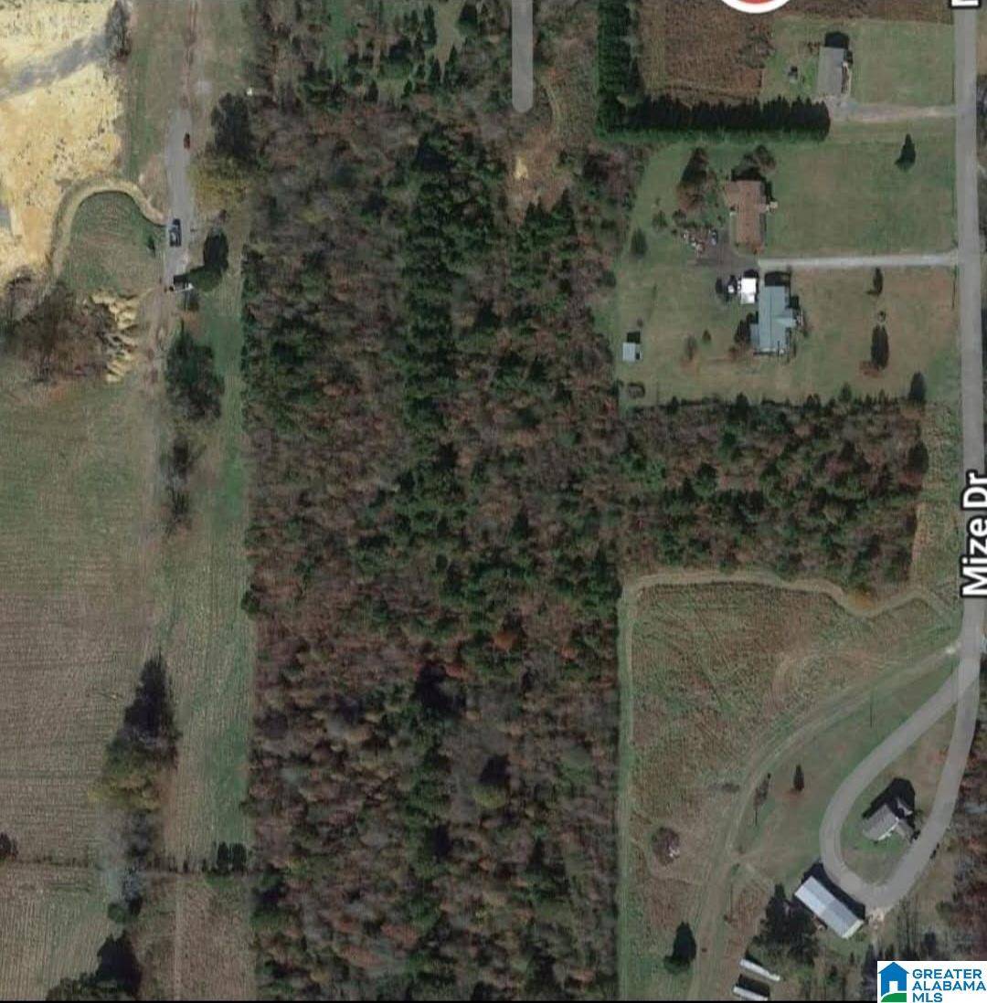 Odenville, AL 35120,0 MIZE DRIVE #none