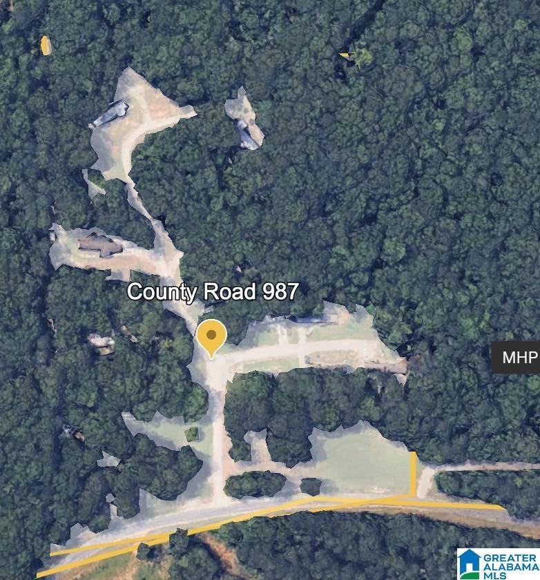 Montevallo, AL 35115,0 COUNTY ROAD 46