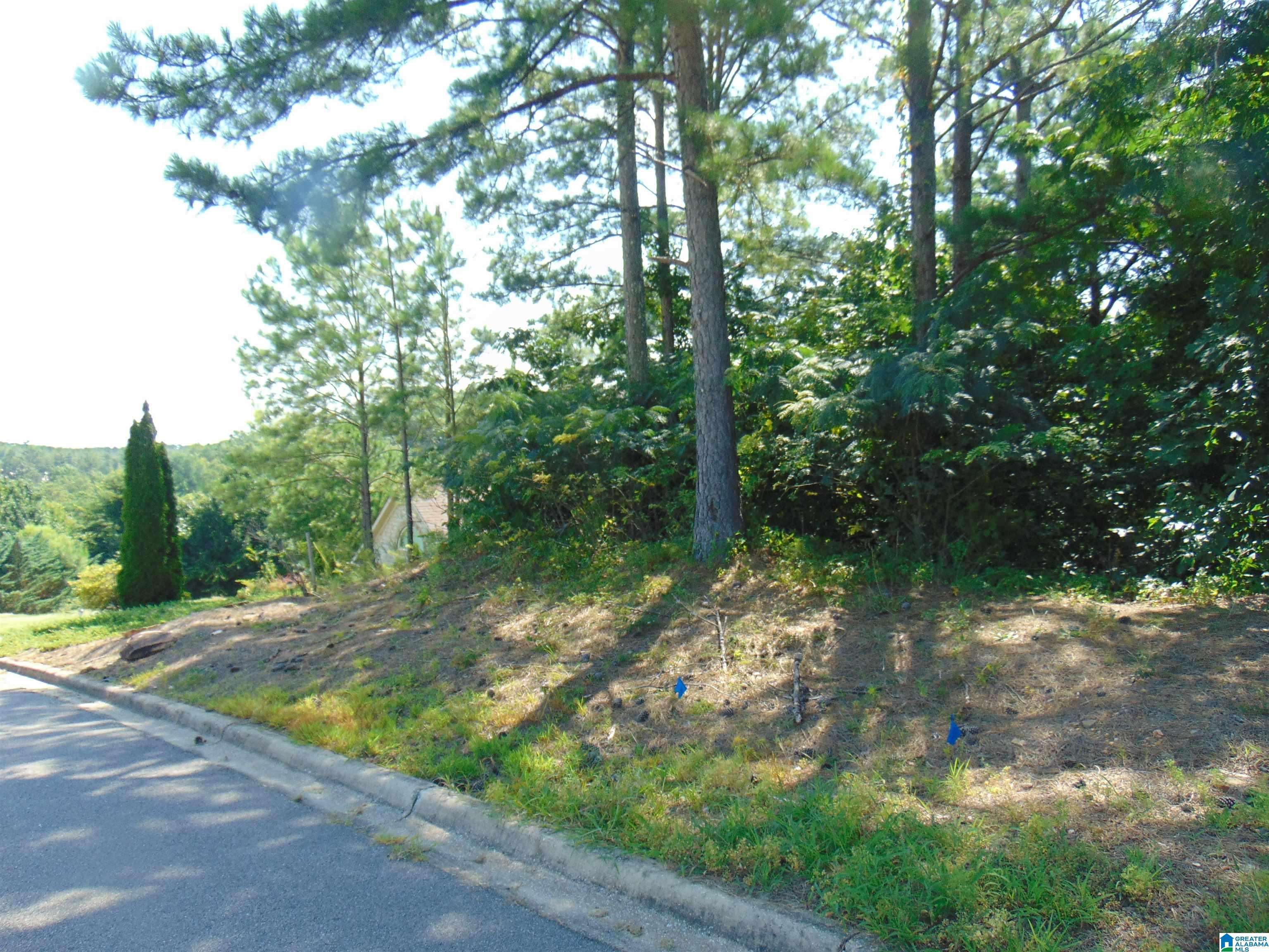 Birmingham, AL 35022,162 JEWELL CIRCLE #2