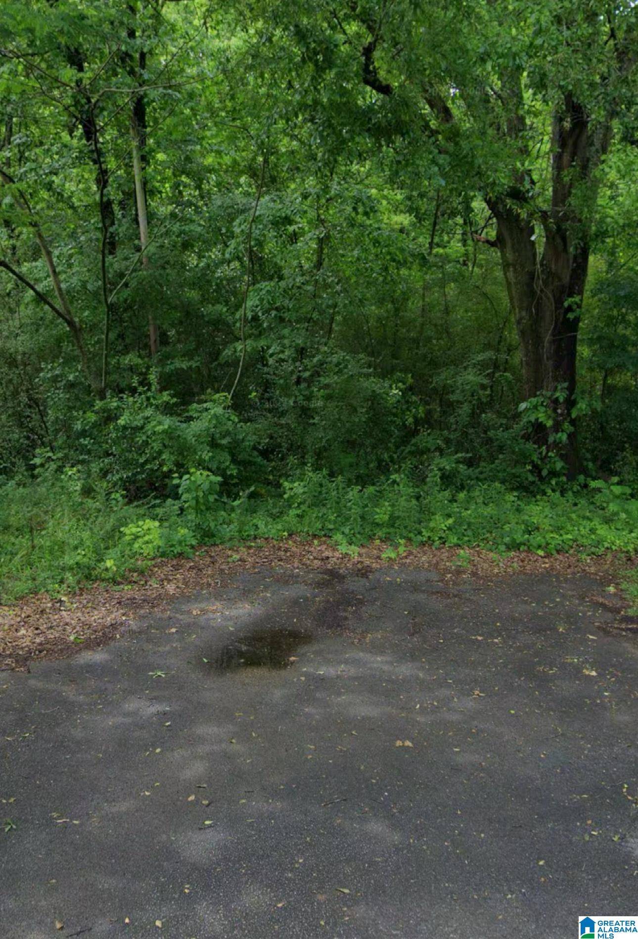 Bessemer, AL 35228,6101 PRATT STREET #1