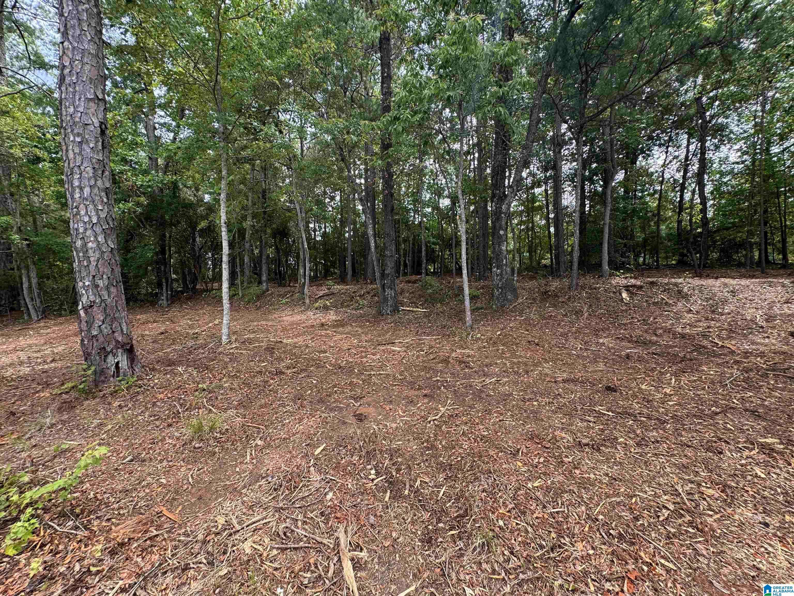 Wedowee, AL 36278,Lot 6 OLD HIGHWAY 431 #1