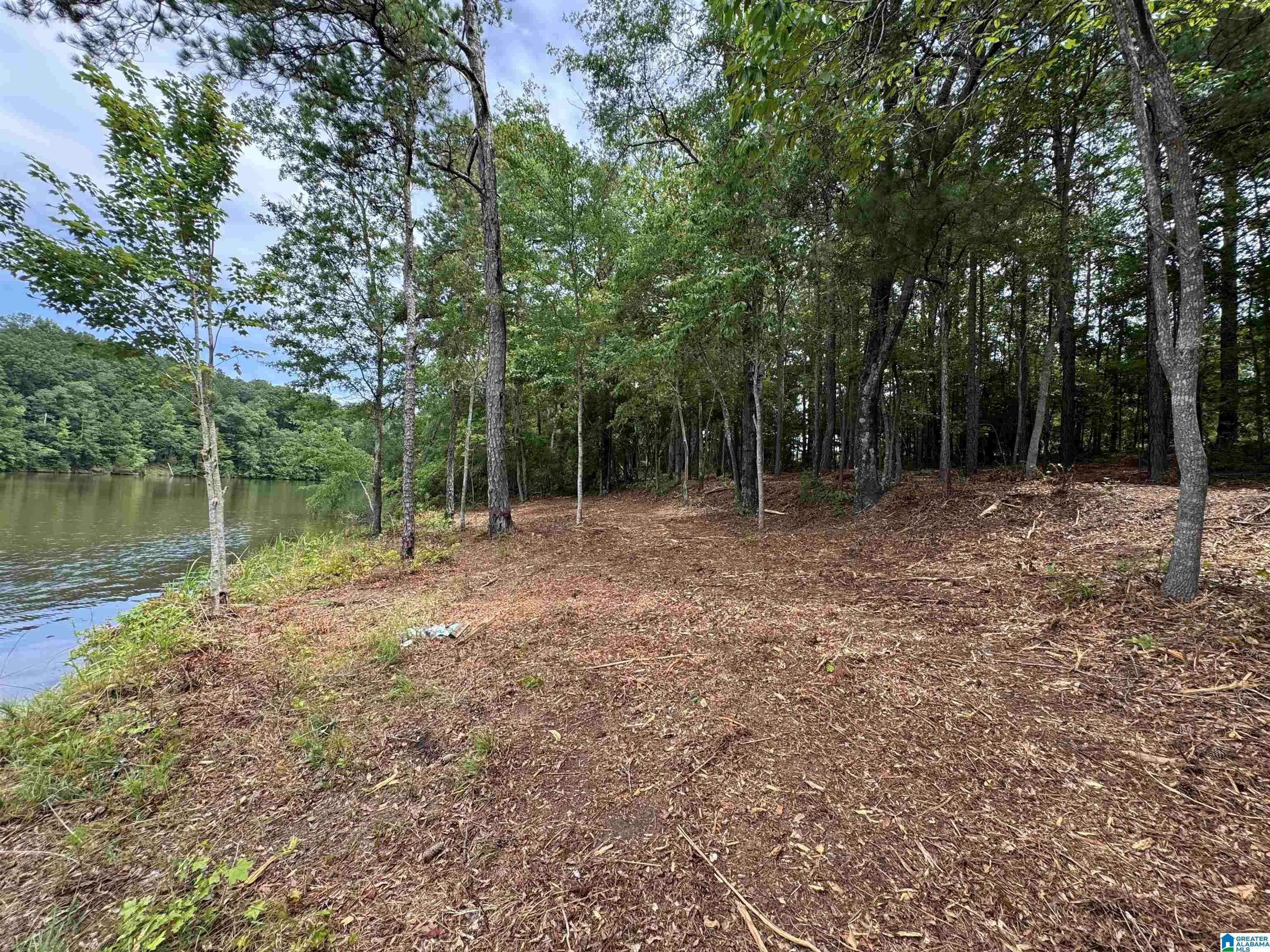 Wedowee, AL 36278,Lot 6 OLD HIGHWAY 431 #1