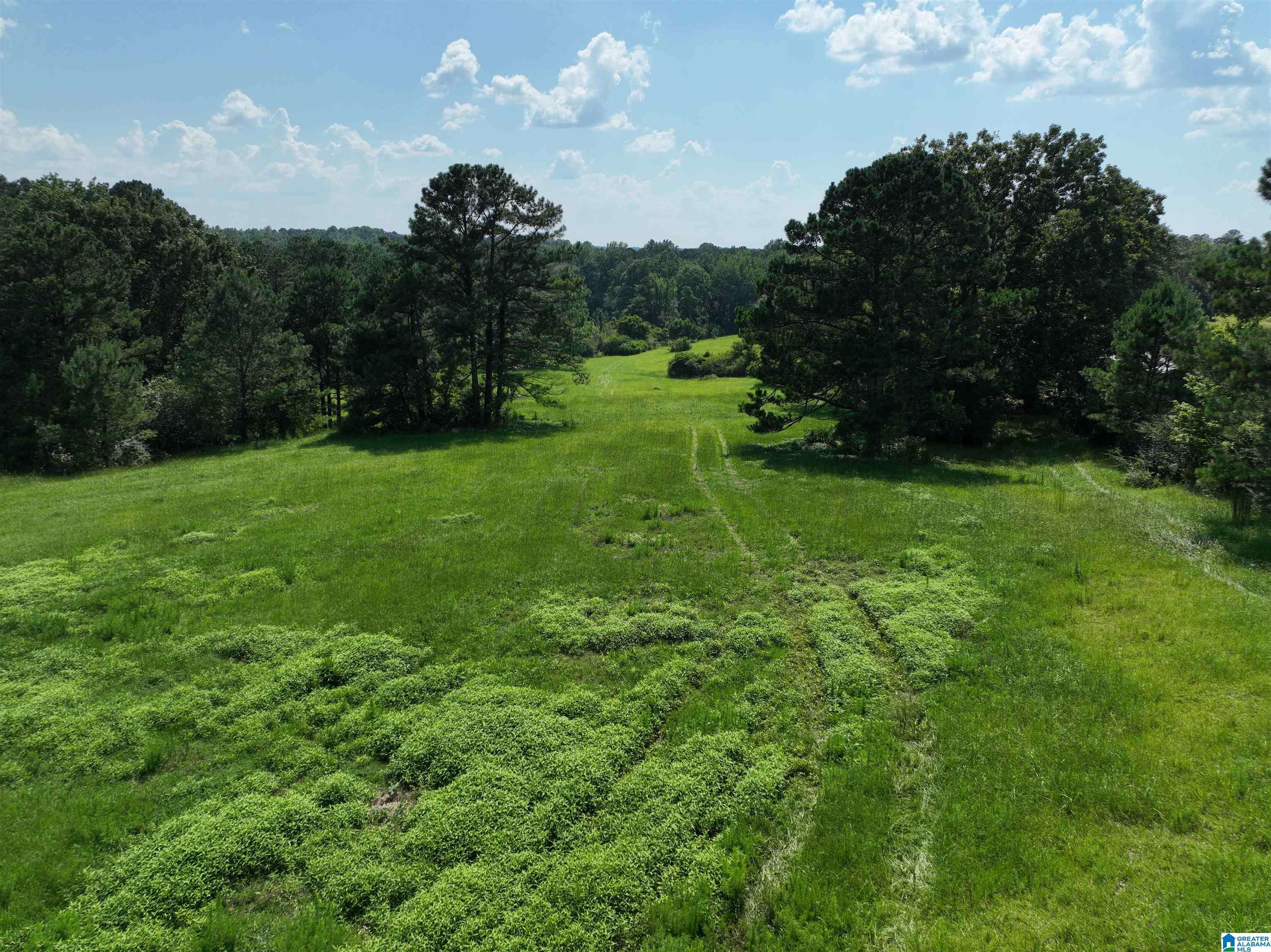 Jemison, AL 35085,0 COUNTY ROAD 295 #1