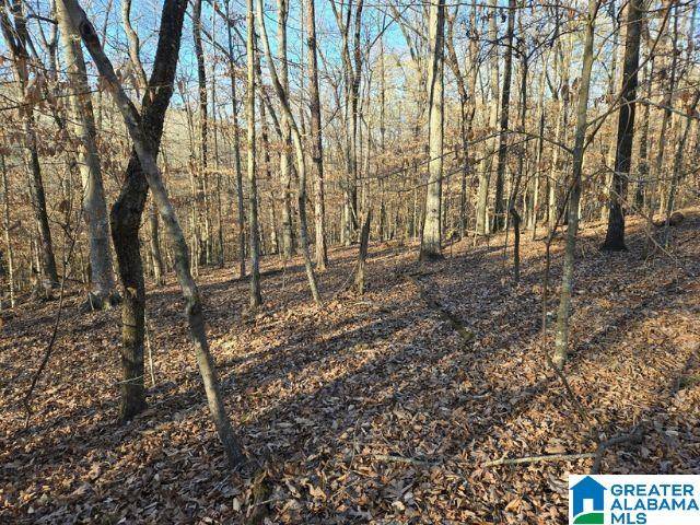 Pinson, AL 35215,6246 RED HOLLOW ROAD #0