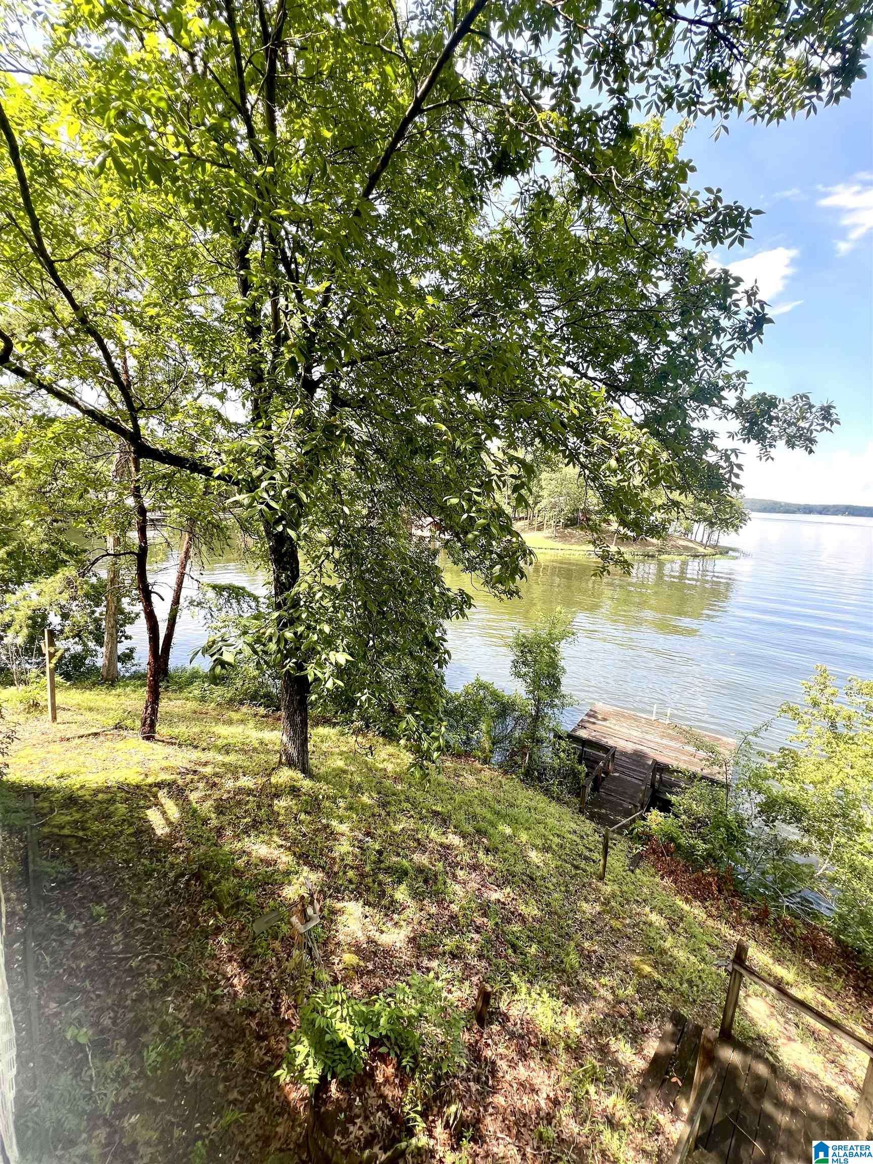 Clanton, AL 35046,lot 13 COUNTY ROAD 833