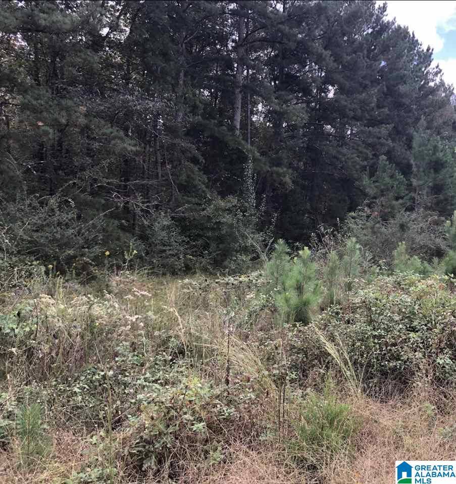 Lincoln, AL 35096,THOMASTON ROAD #11