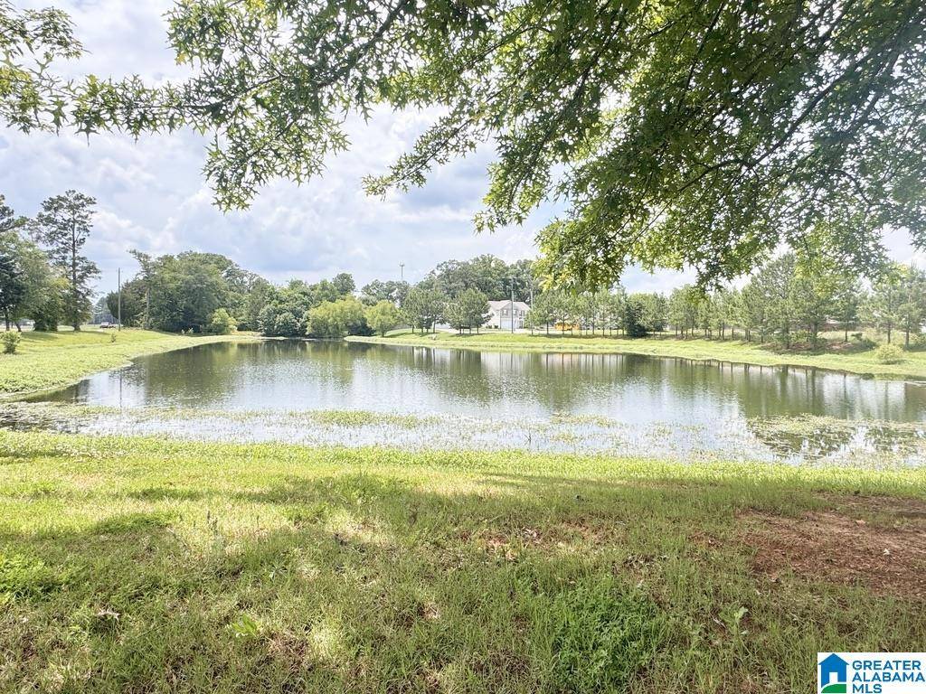 Montevallo, AL 35115,512 WATERSTONE DRIVE