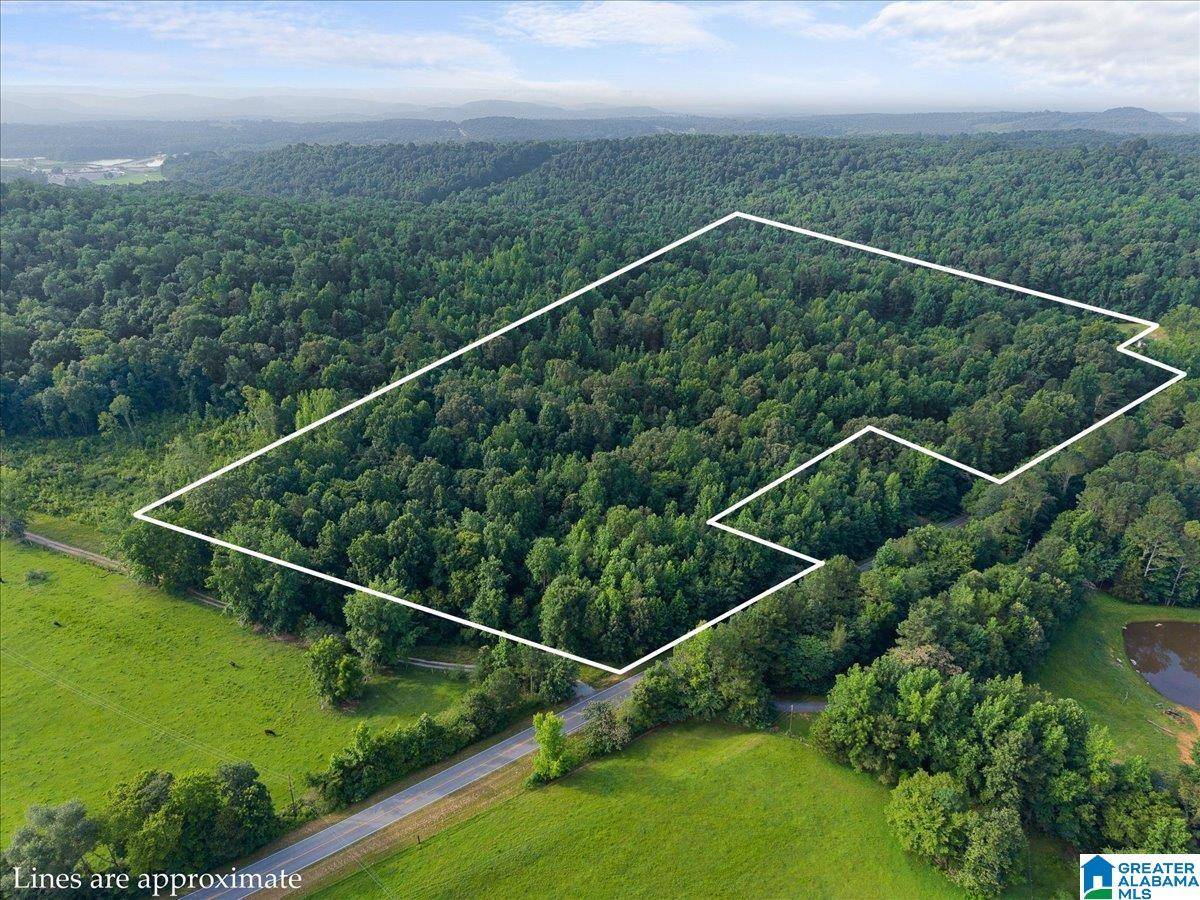 Blountsville, AL 35031,7950 JOY ROAD