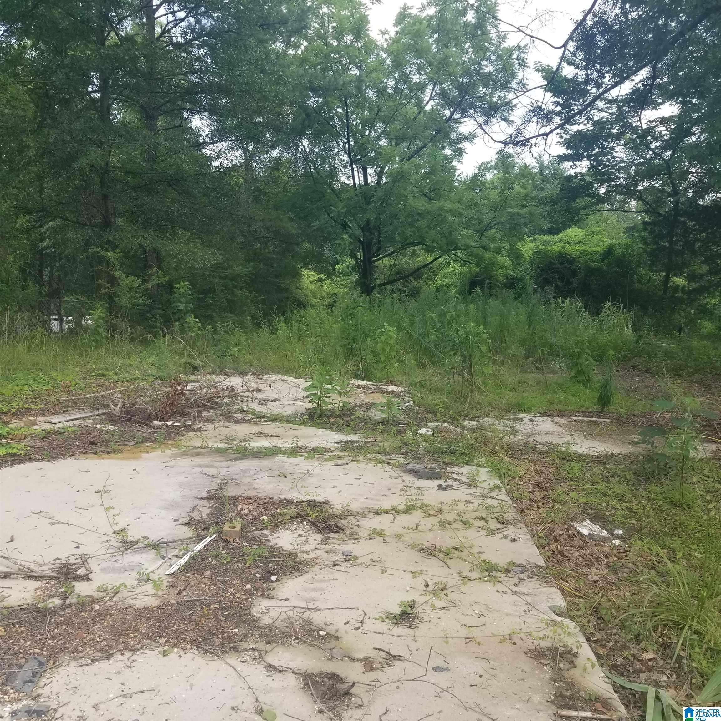 Riverside, AL 35135,11284 US HIGHWAY #0