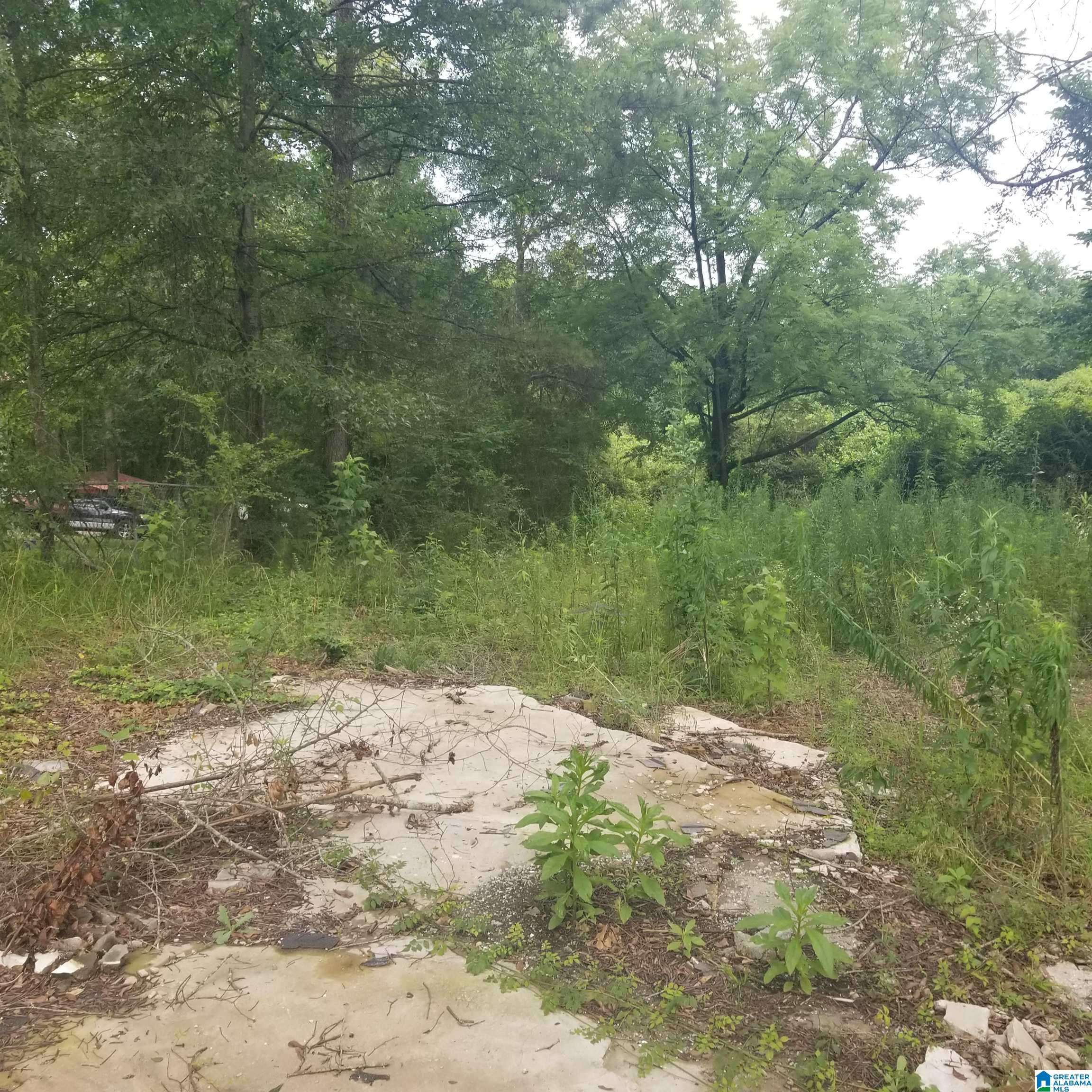 Riverside, AL 35135,11284 US HIGHWAY #0