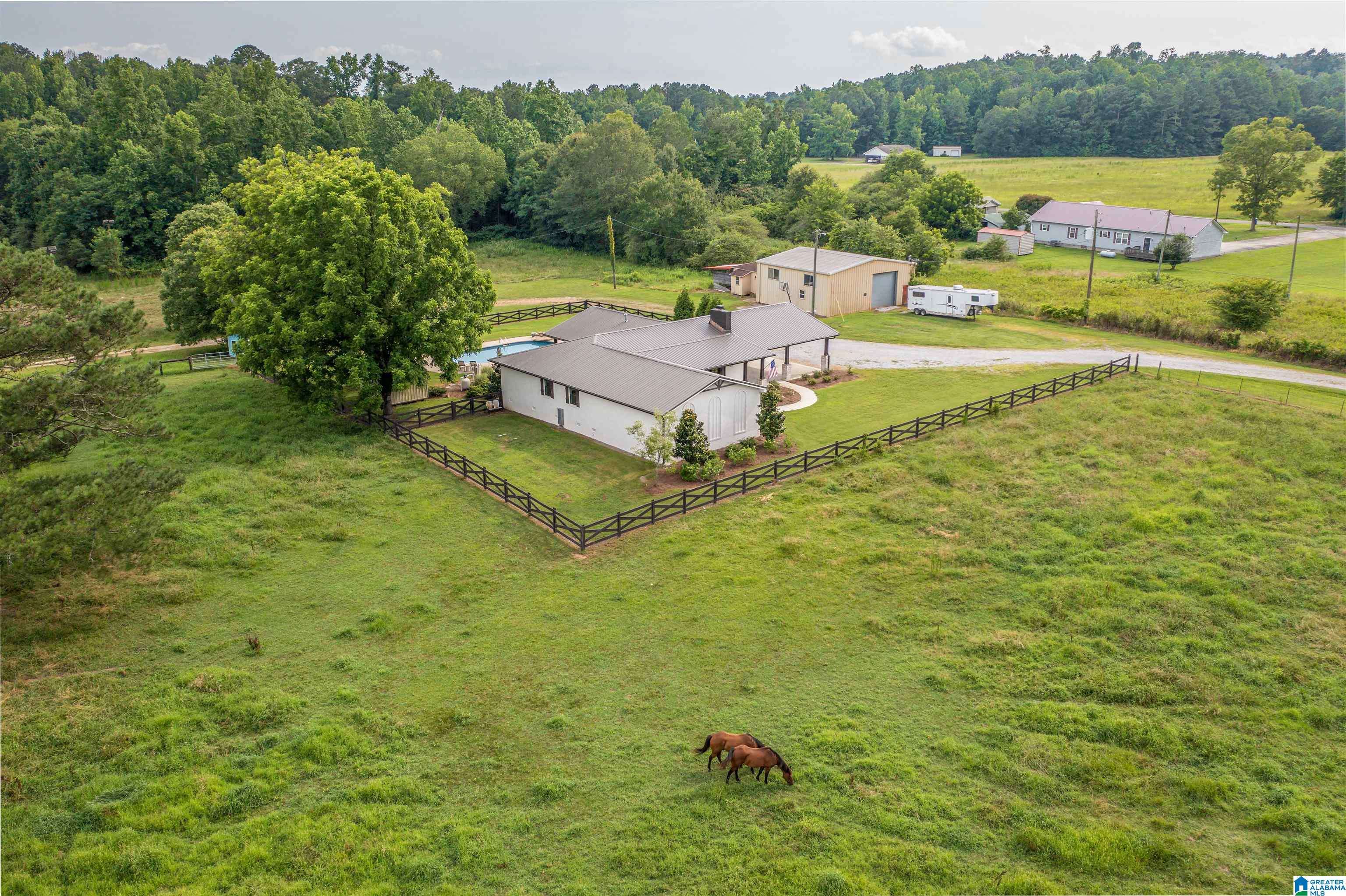 Wellington, AL 36279,2350 HIGHWAY 204