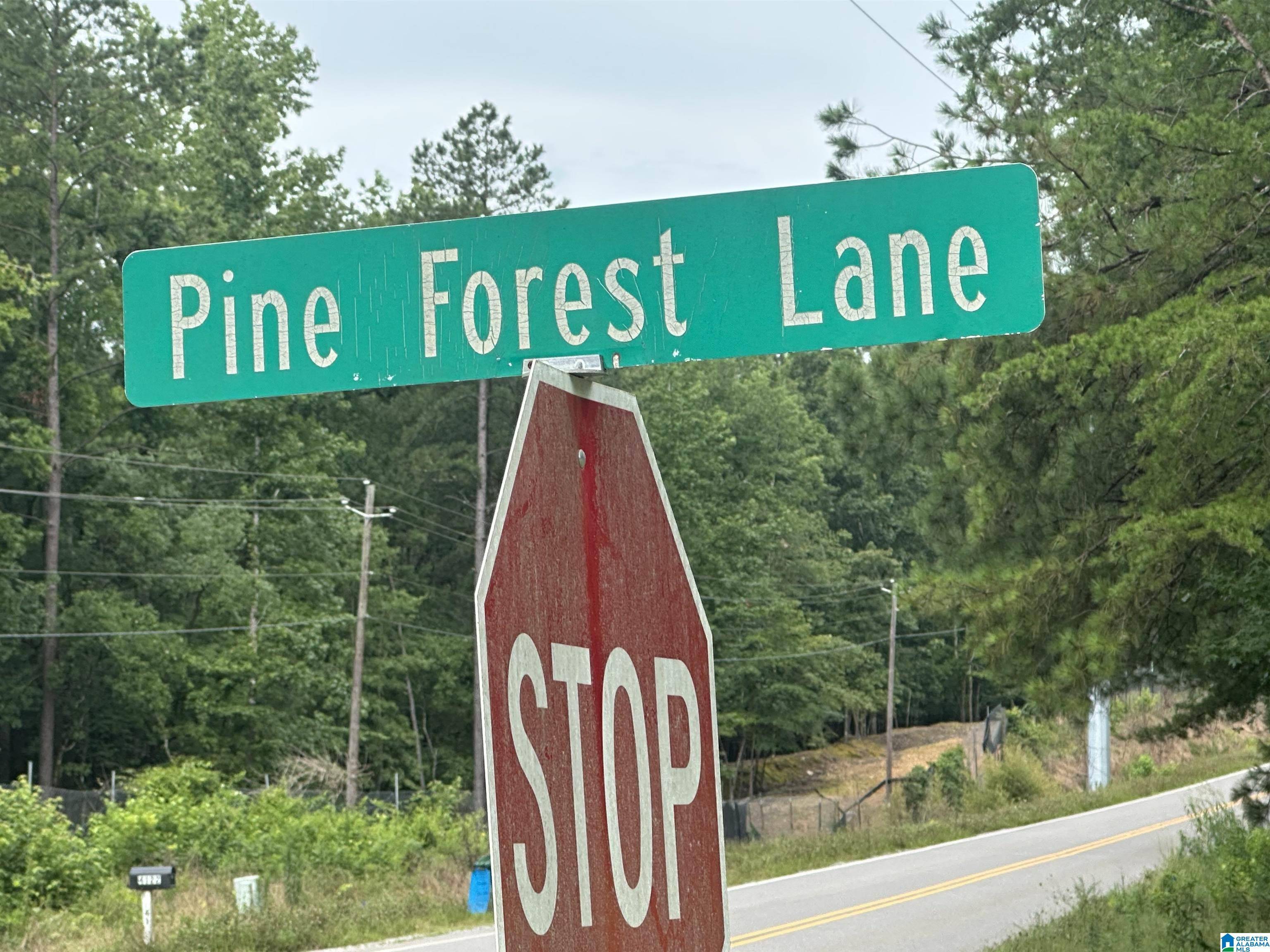 West Blocton, AL 35184,PINE VIEW DRIVE #8